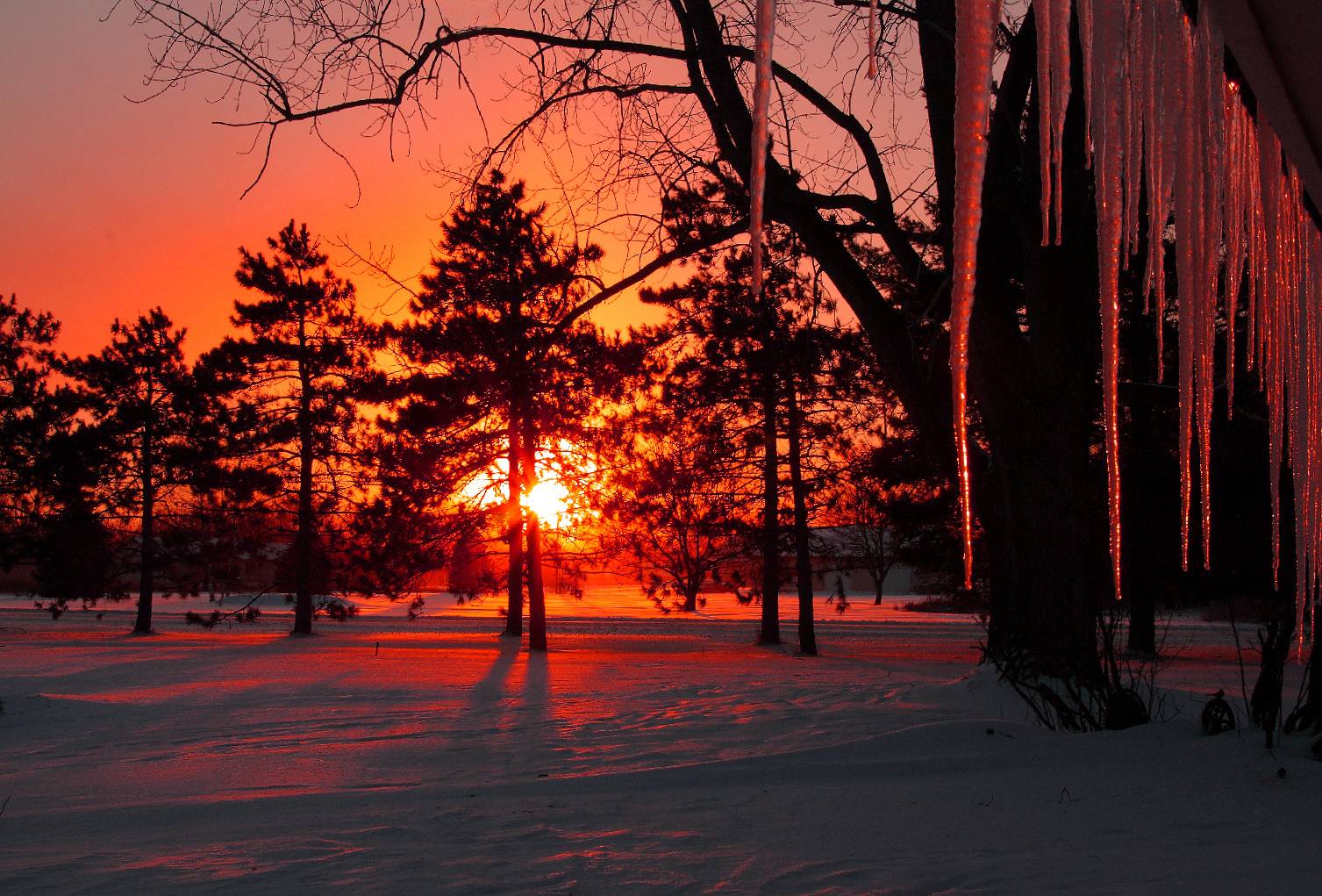 winter snow sunset