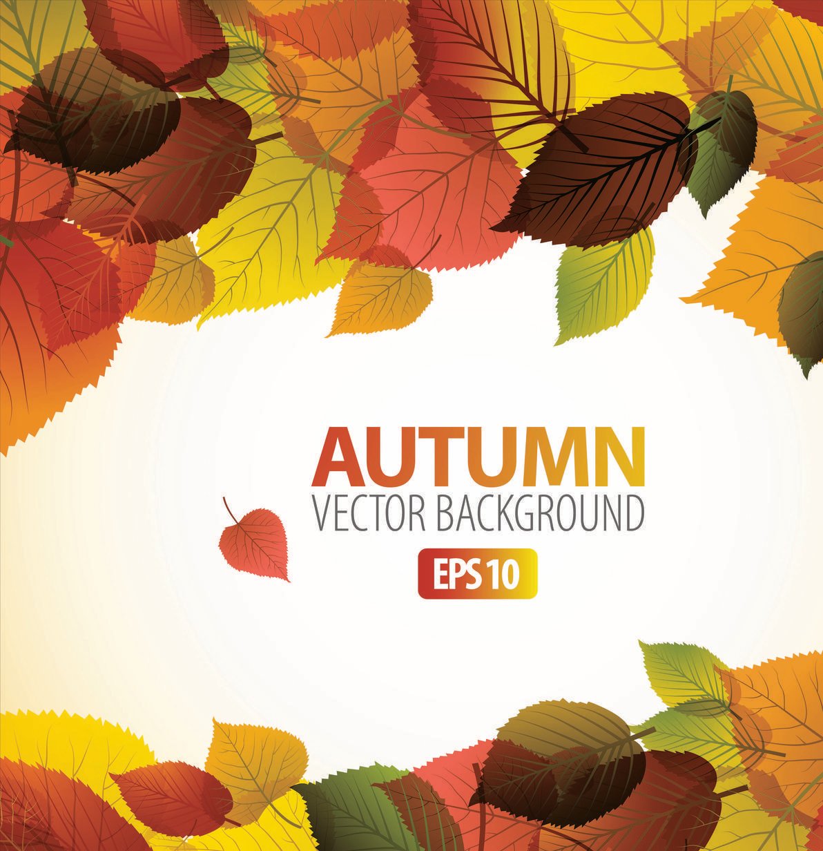 Beautiful maple leaf background 02 vector Free Vector / 4Vector