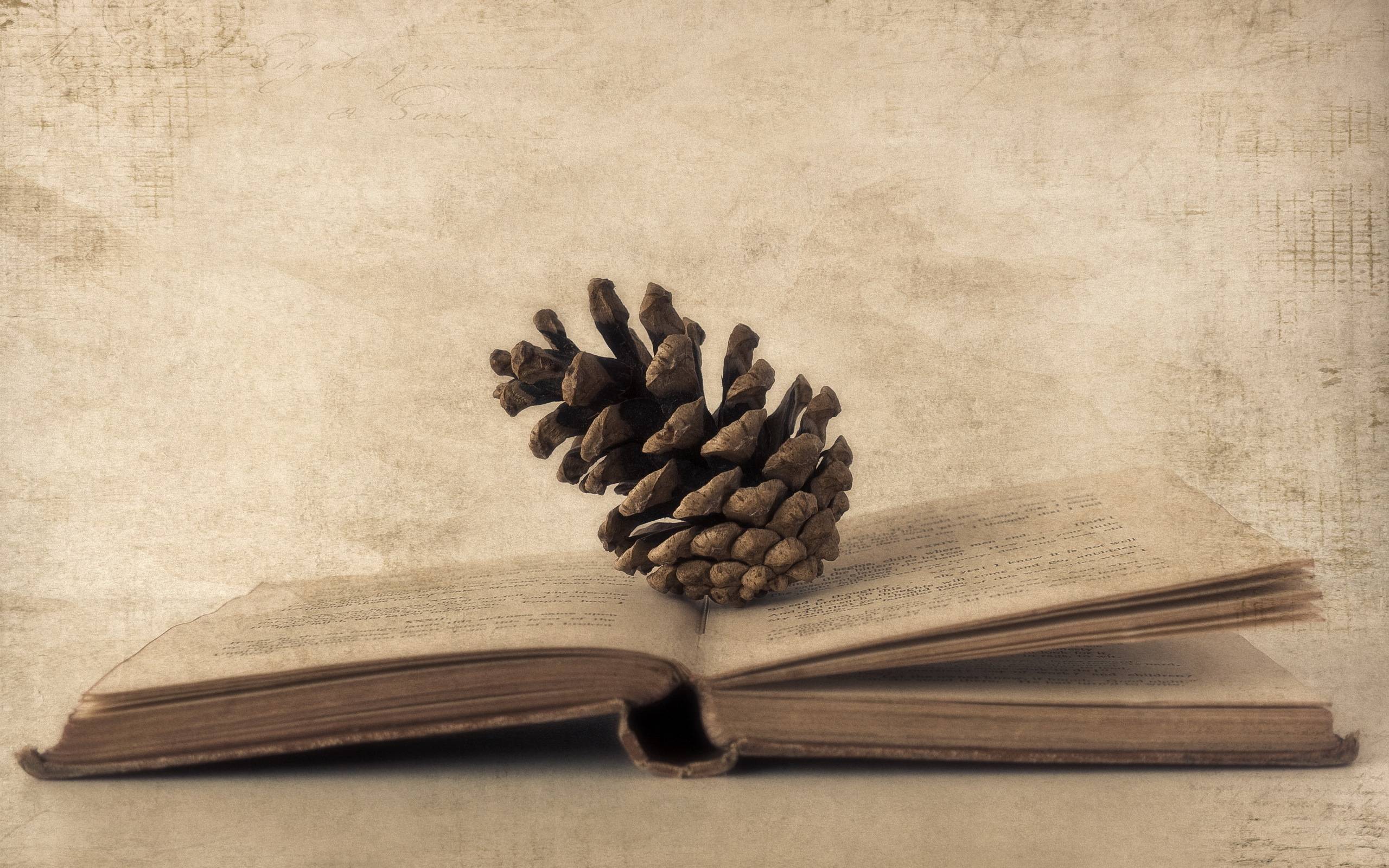 Cool Pinecone On The Book Wide Wallpaper 2560x1600PX Book