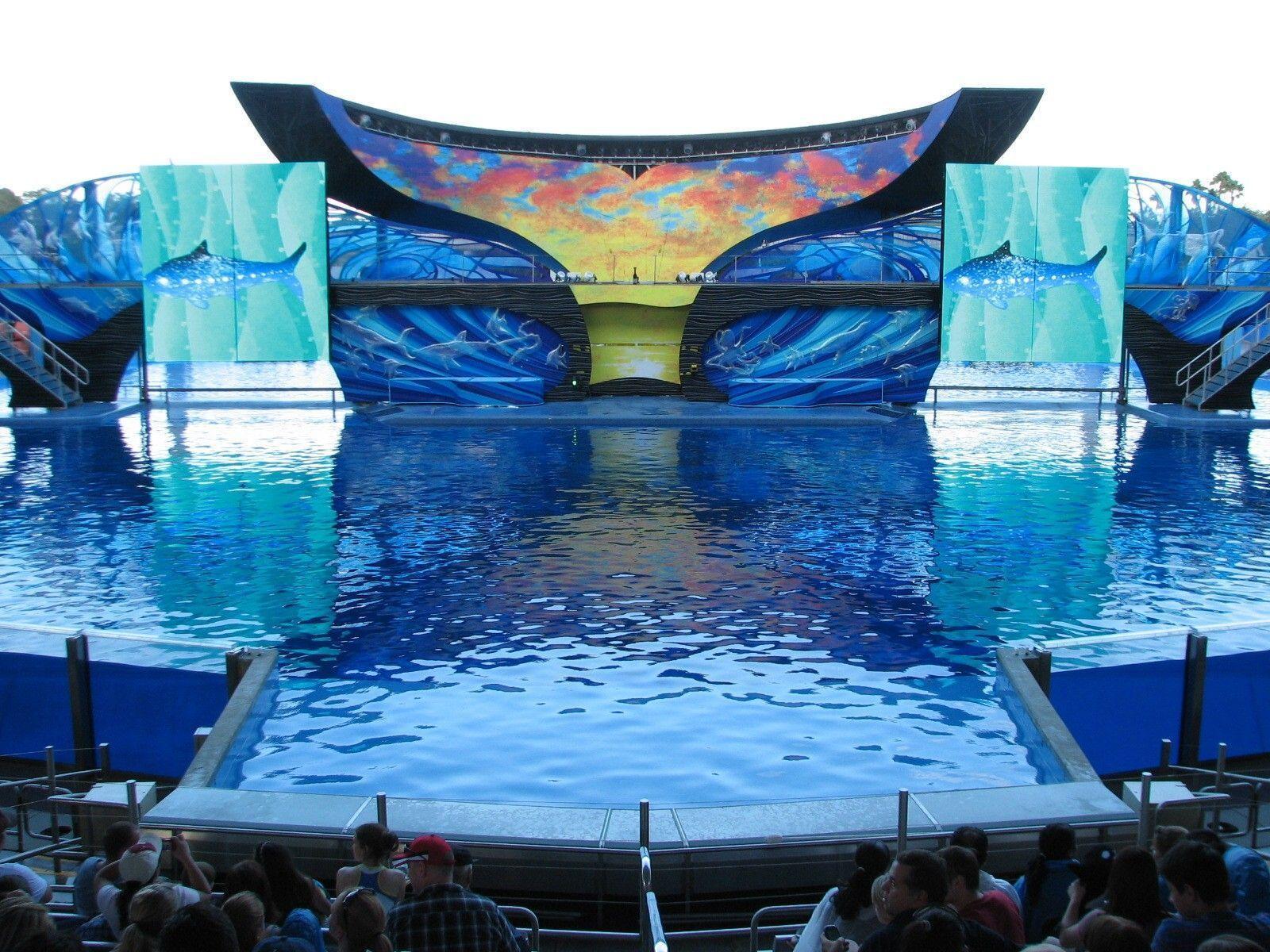 Shamu Stadium Ocean SeaWorld Orlando Gallery