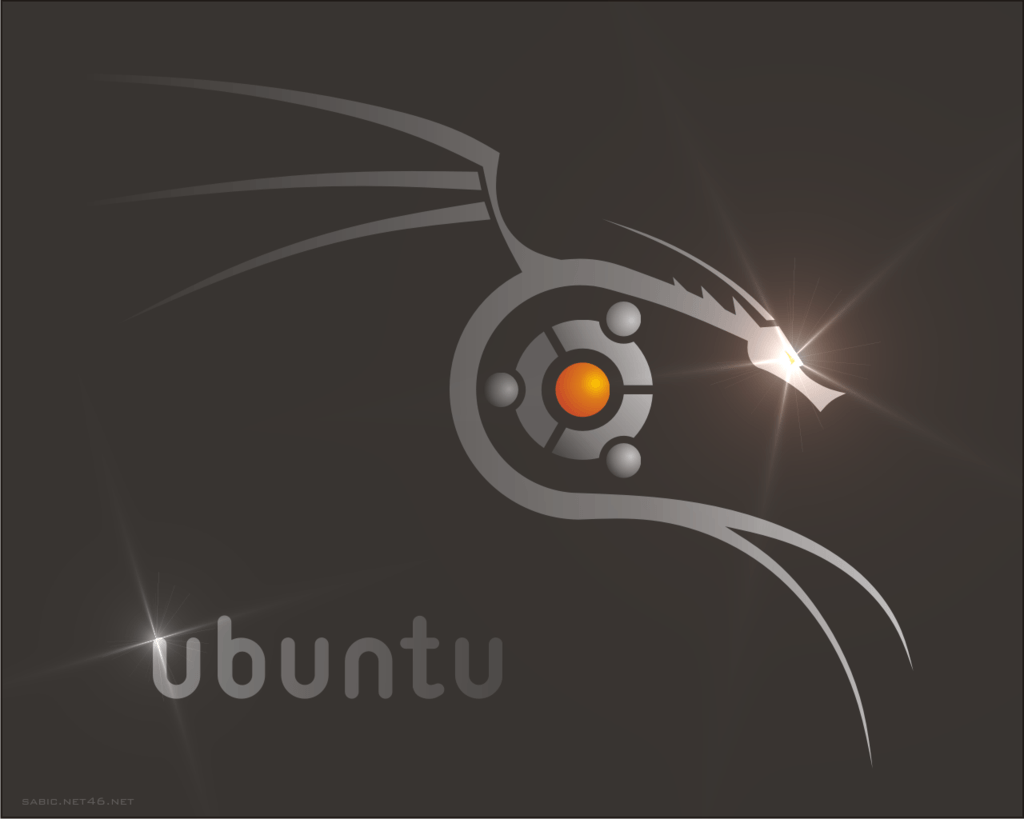 Ubuntu Dragon