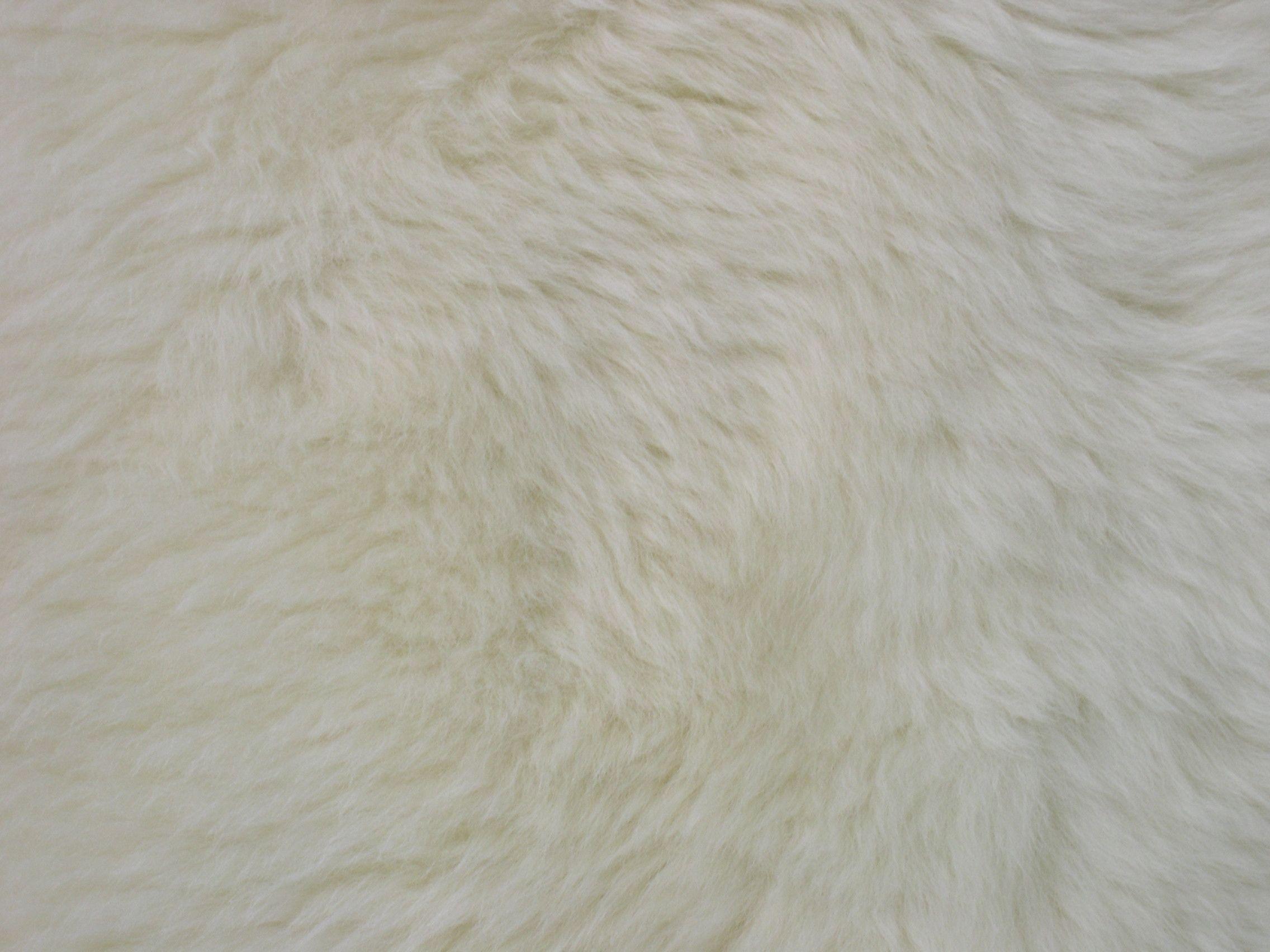 image For > White Fur Wallpaper