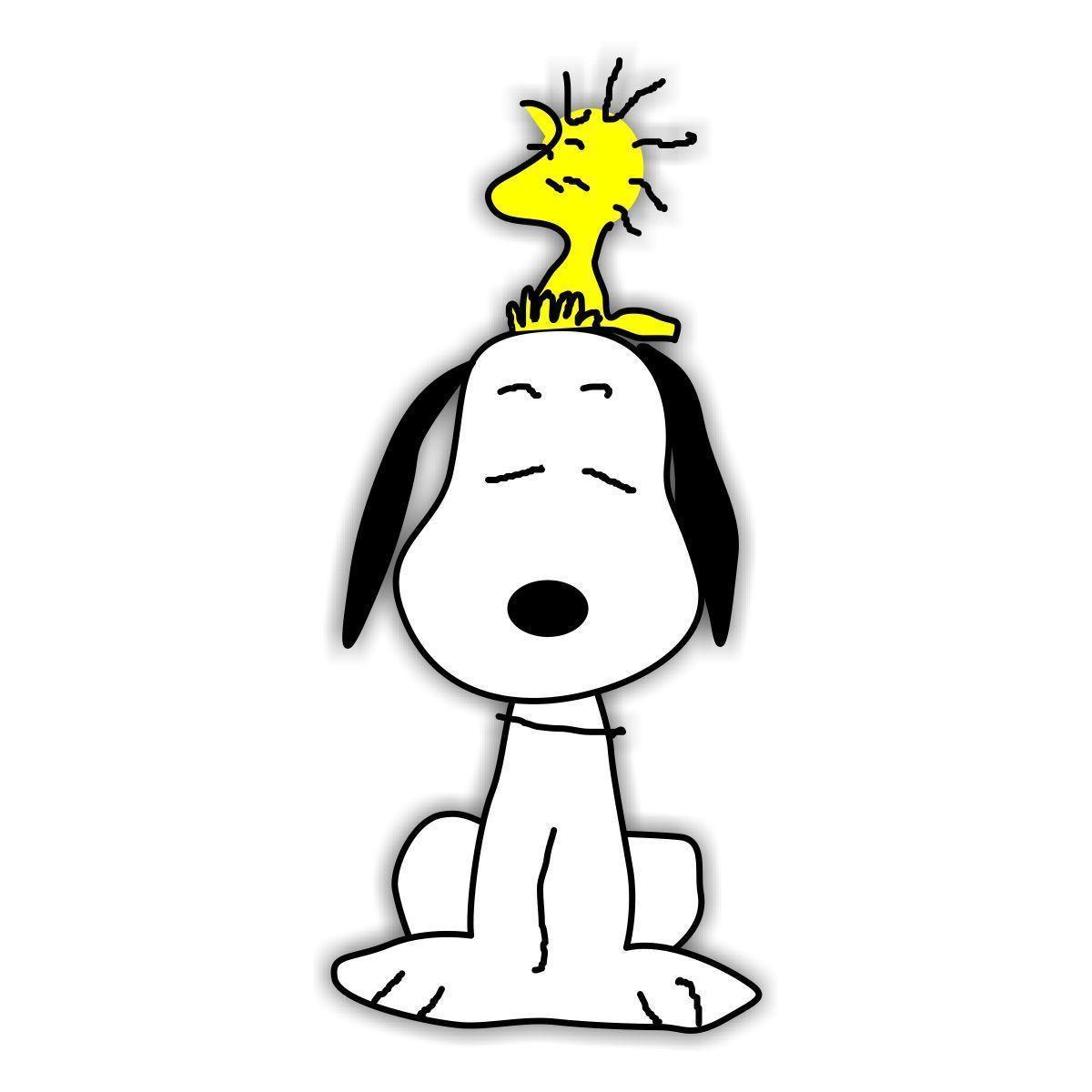 Snoopy Cartoon Background For iPhone