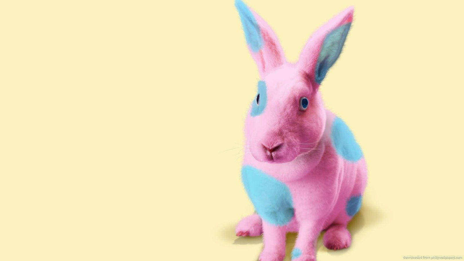 Download 1600x900 Pink And Blue Easter Bunny Wallpaper