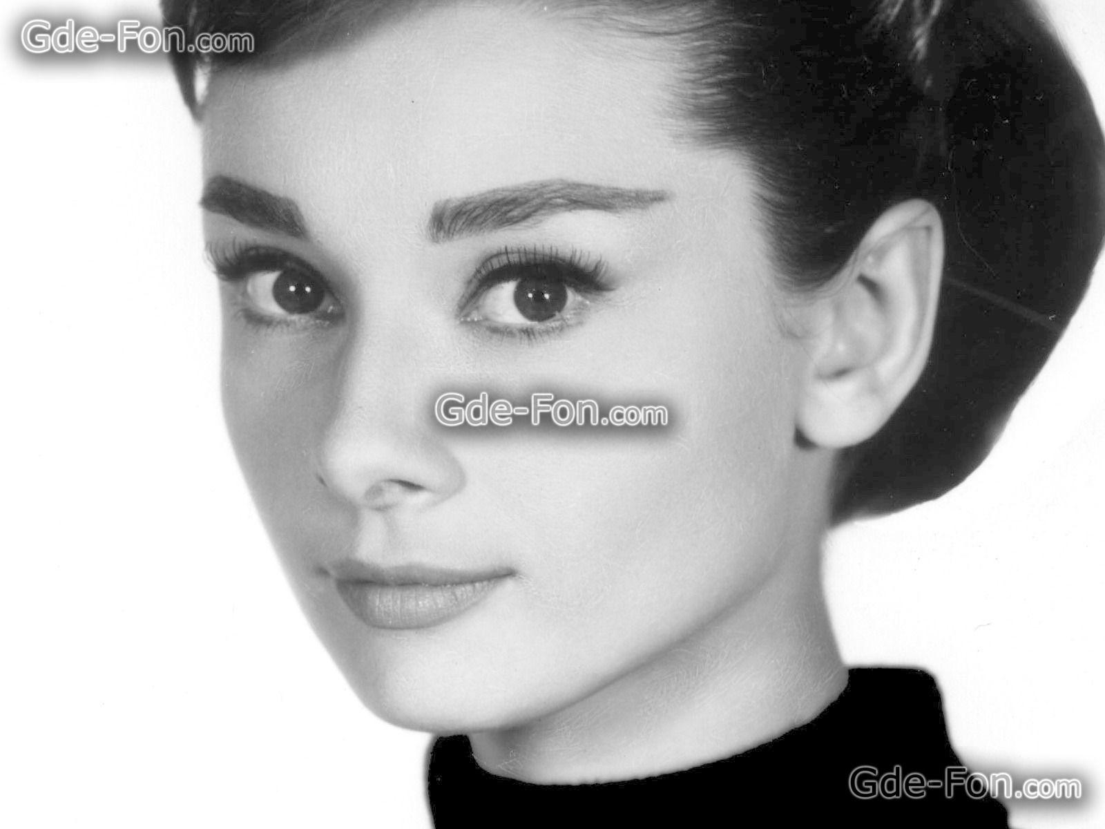 Download wallpaper Audrey Hepburn, Audrey Hepburn, Actors free