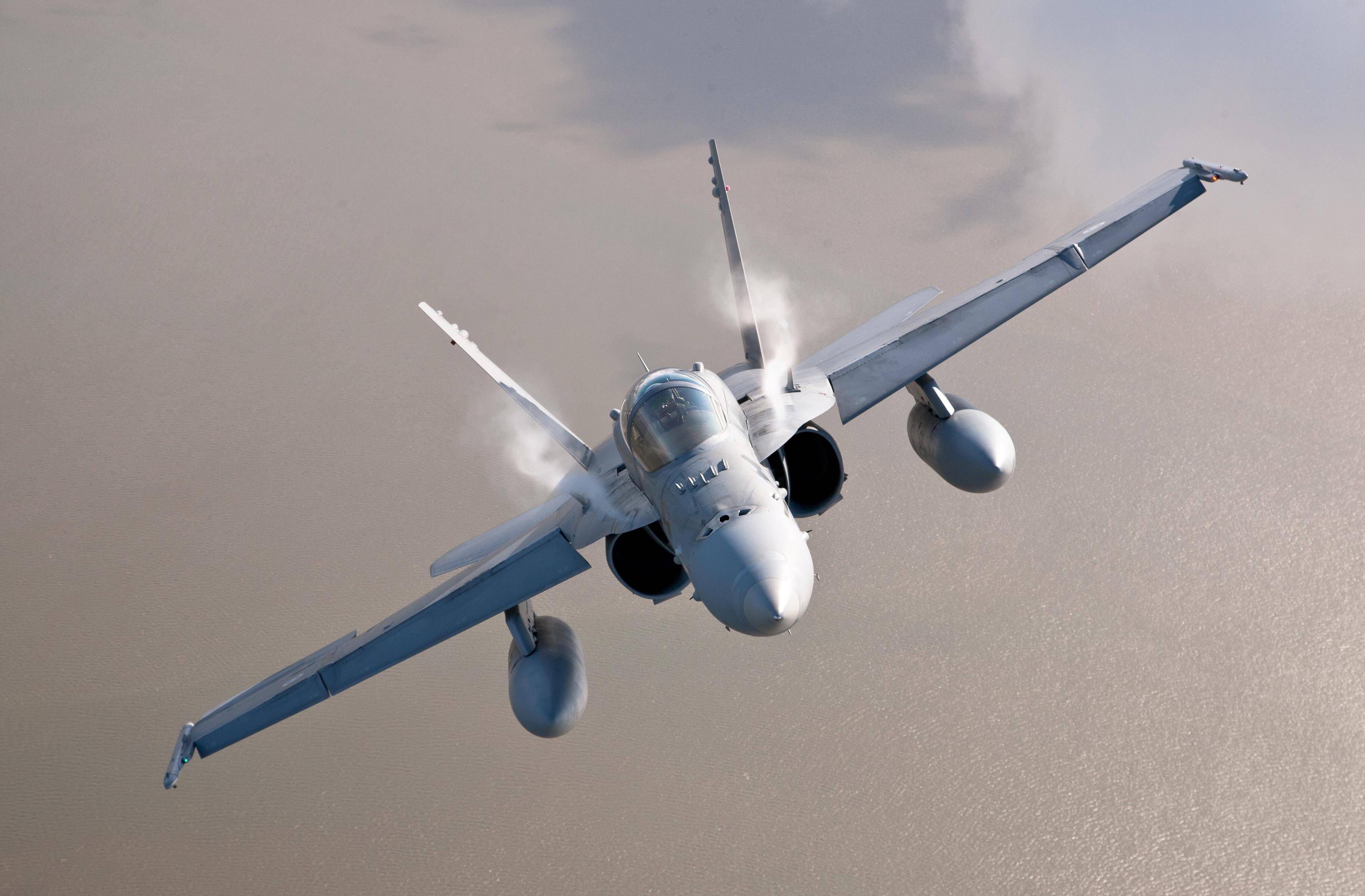 Finnish Air Force McDonnell Douglas F 18 Hornet