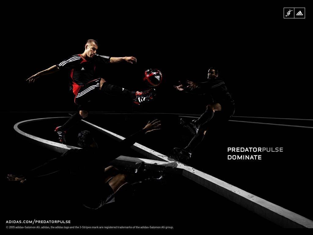 Zidane Wallpapers - Wallpaper Cave