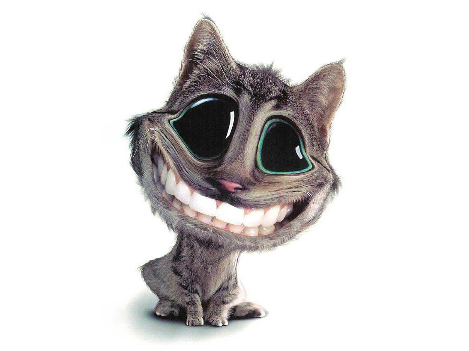 Funny 3D Smile Cat Wallpaper HD Skilal, Skilal.Com