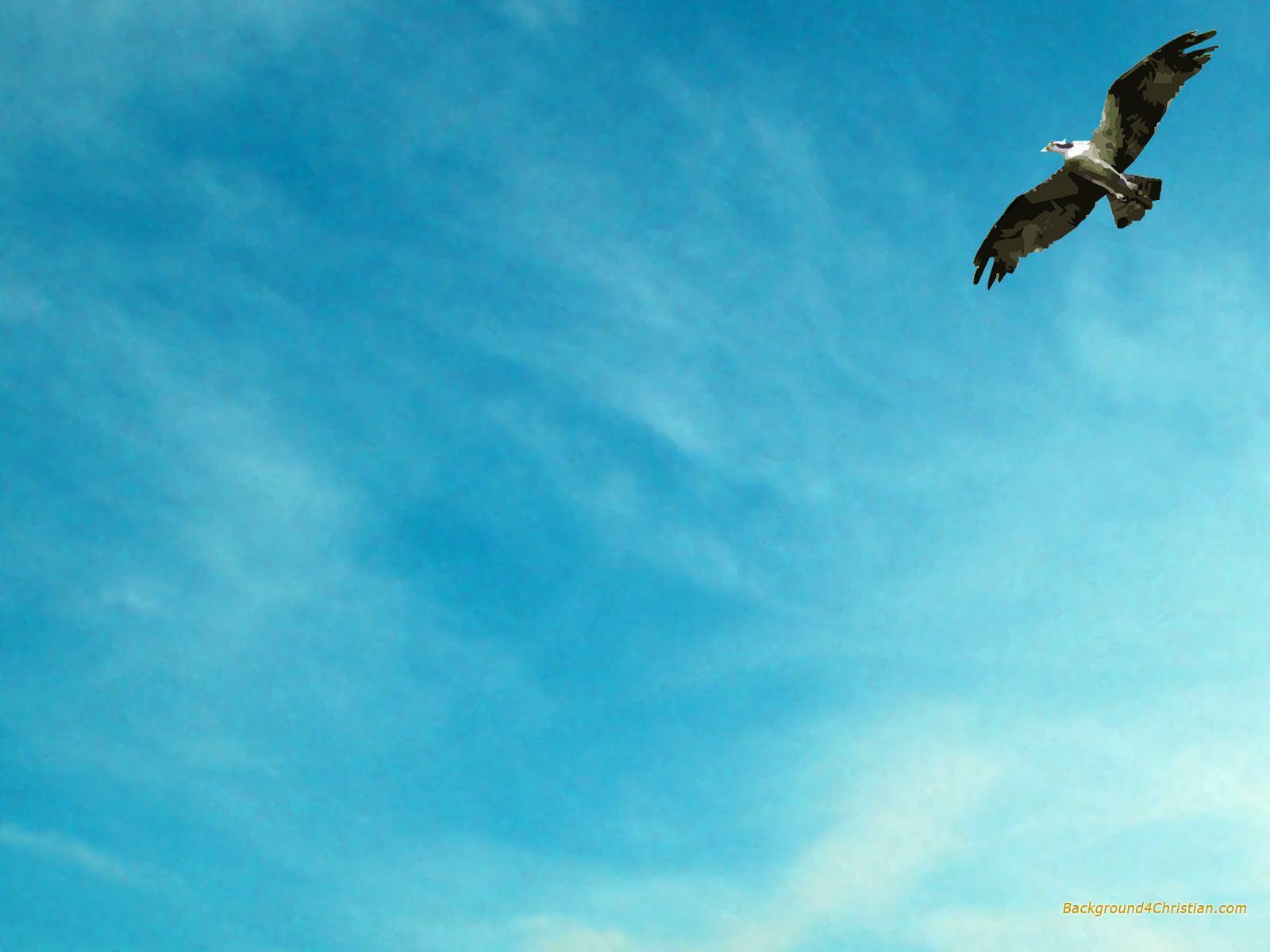 Flying Eagle Wings Wallpaper. Animal HD Wallpaper