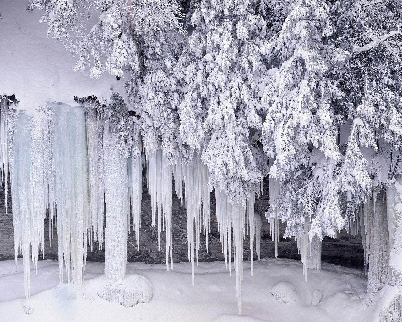 Winter wonderland : Dreamy Snow Scene wallpapers 1280x1024 NO.1