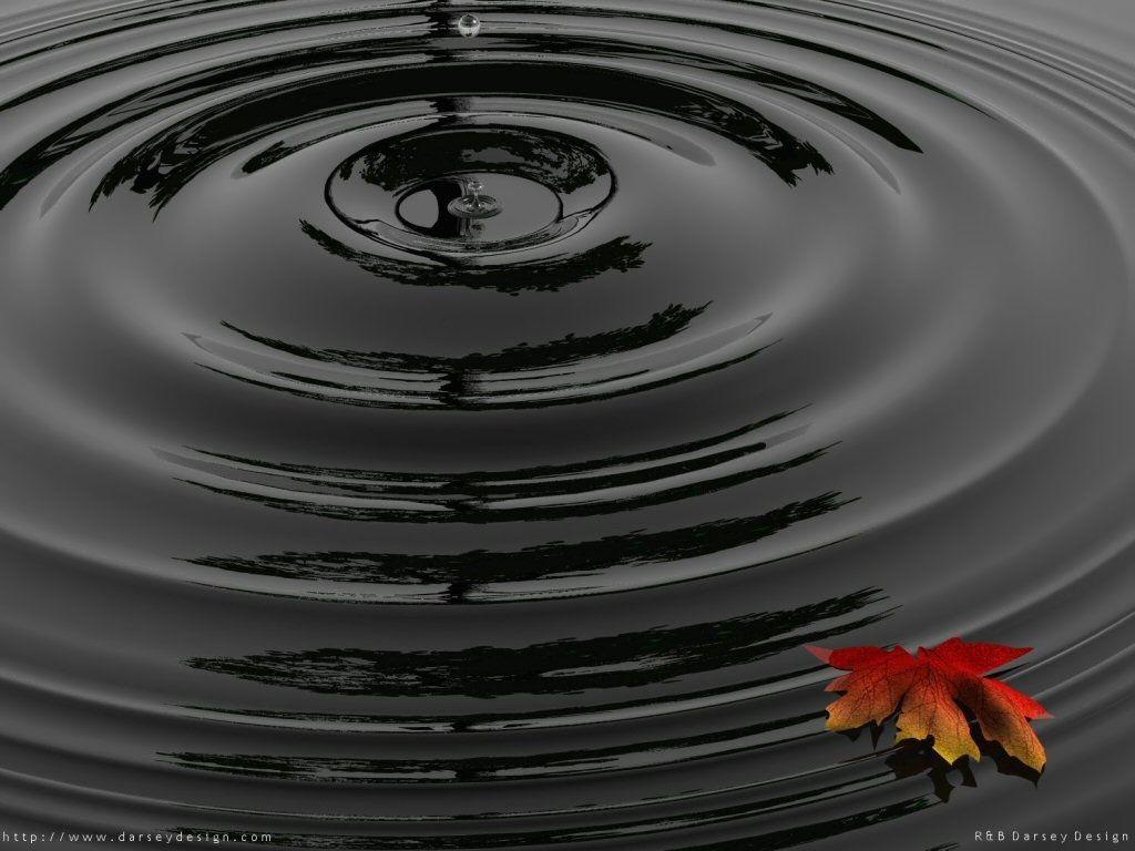 Black Raindrop and leaf background in 1024x768 resolution. HD