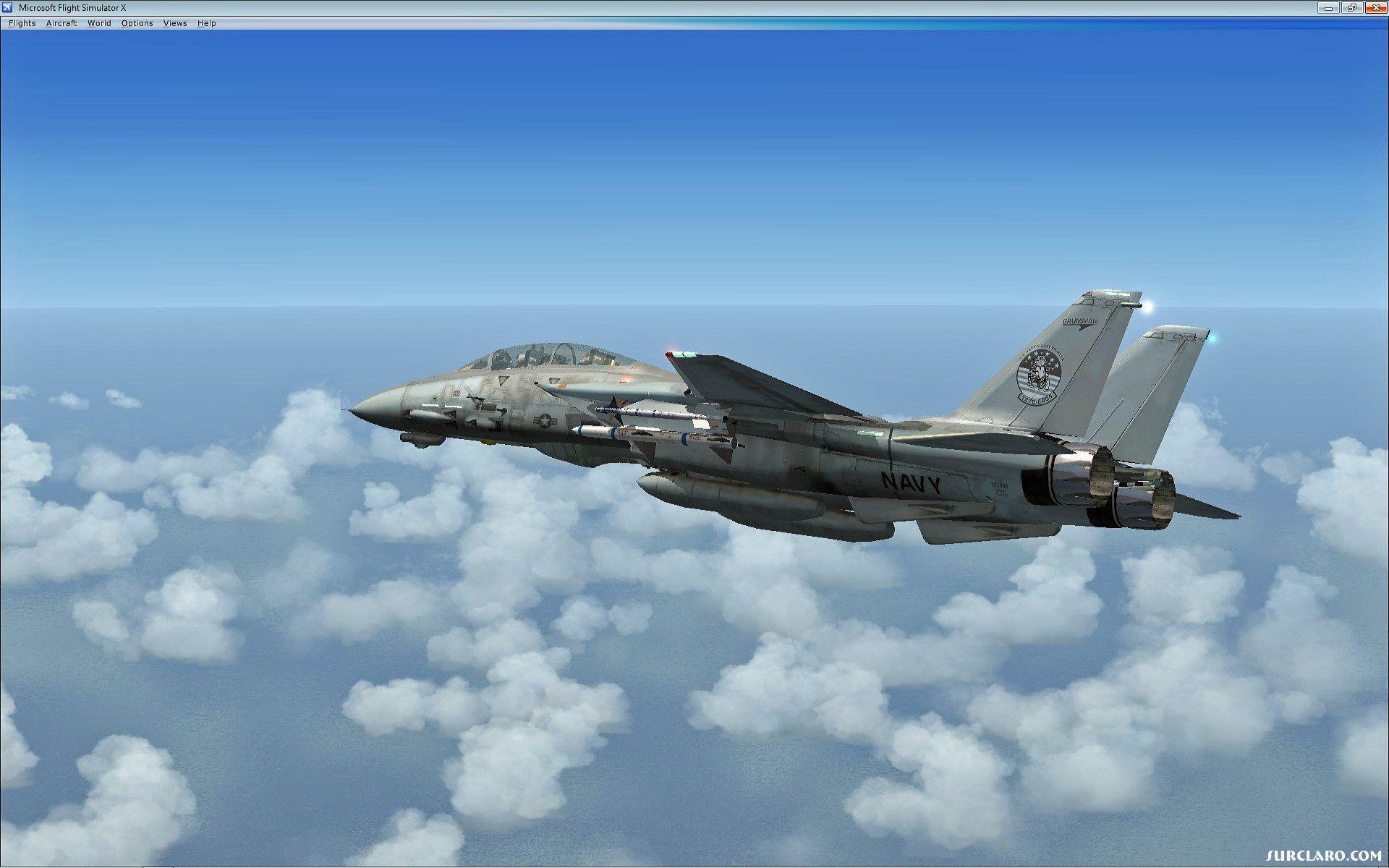 F14 Fly Simulations