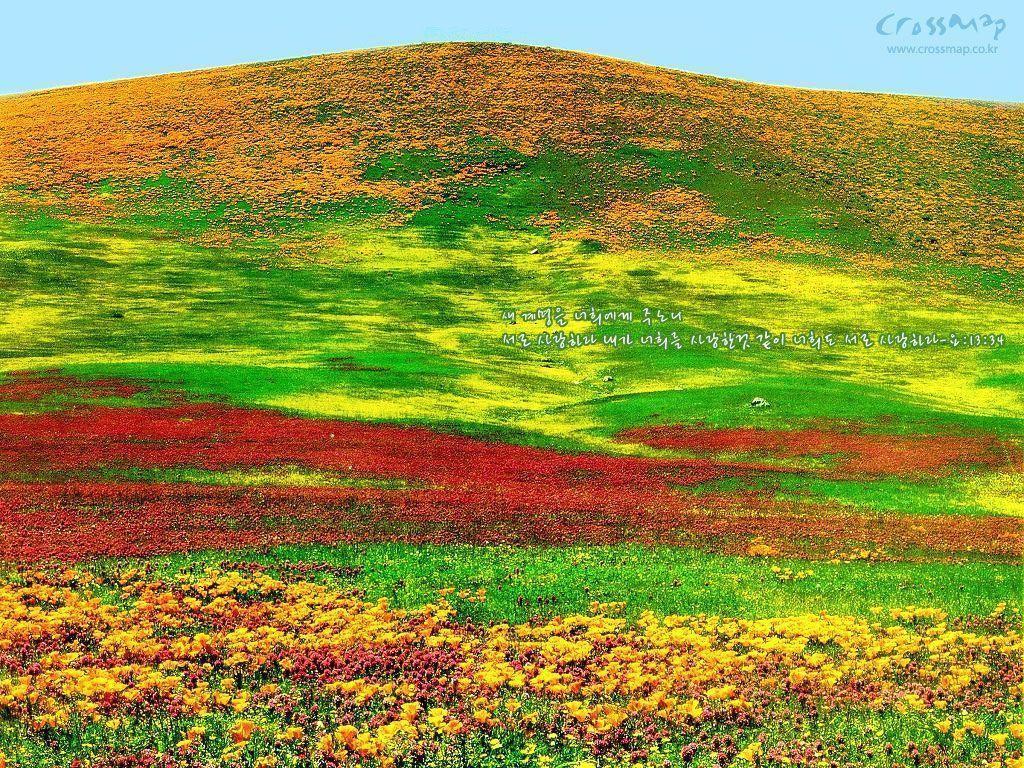 Christian wallpaper with Bible verses 1024x768 NO.50 Desktop