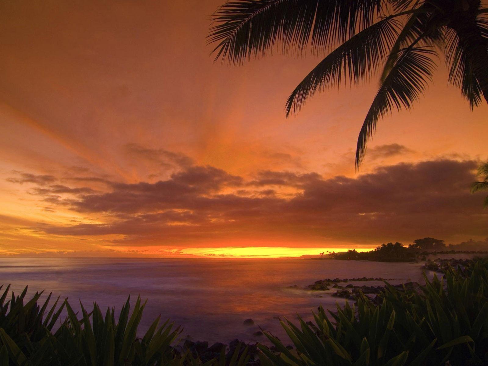 Free Tropical Sunset Wallpaper Widescreen 2 HD Wallpaper. Eakai