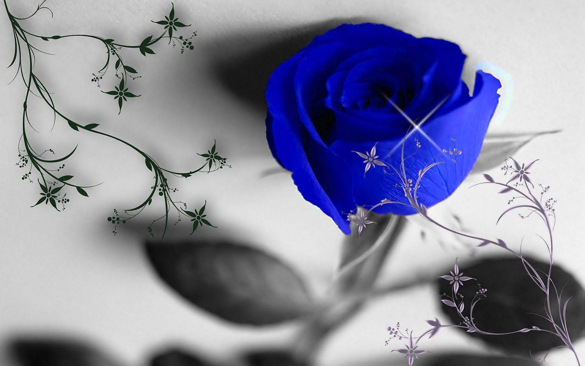 Wallpaper For > Bunch Of Blue Roses Wallpaper