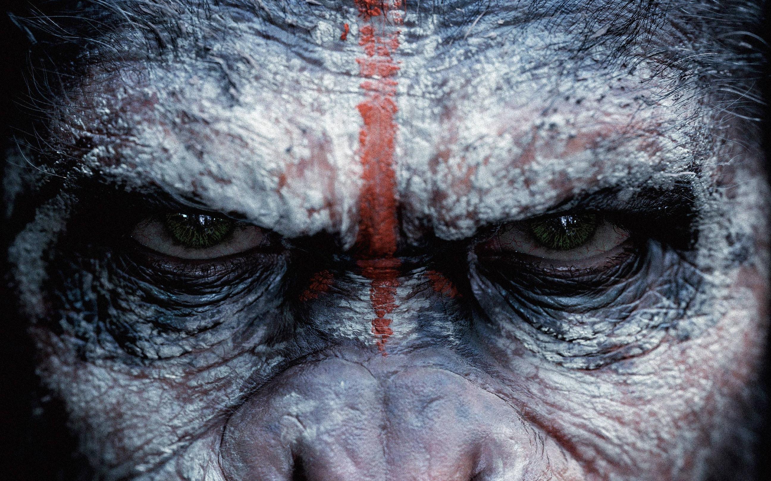 Dawn of the Planet of the Apes 2014 Movie Wallpaper