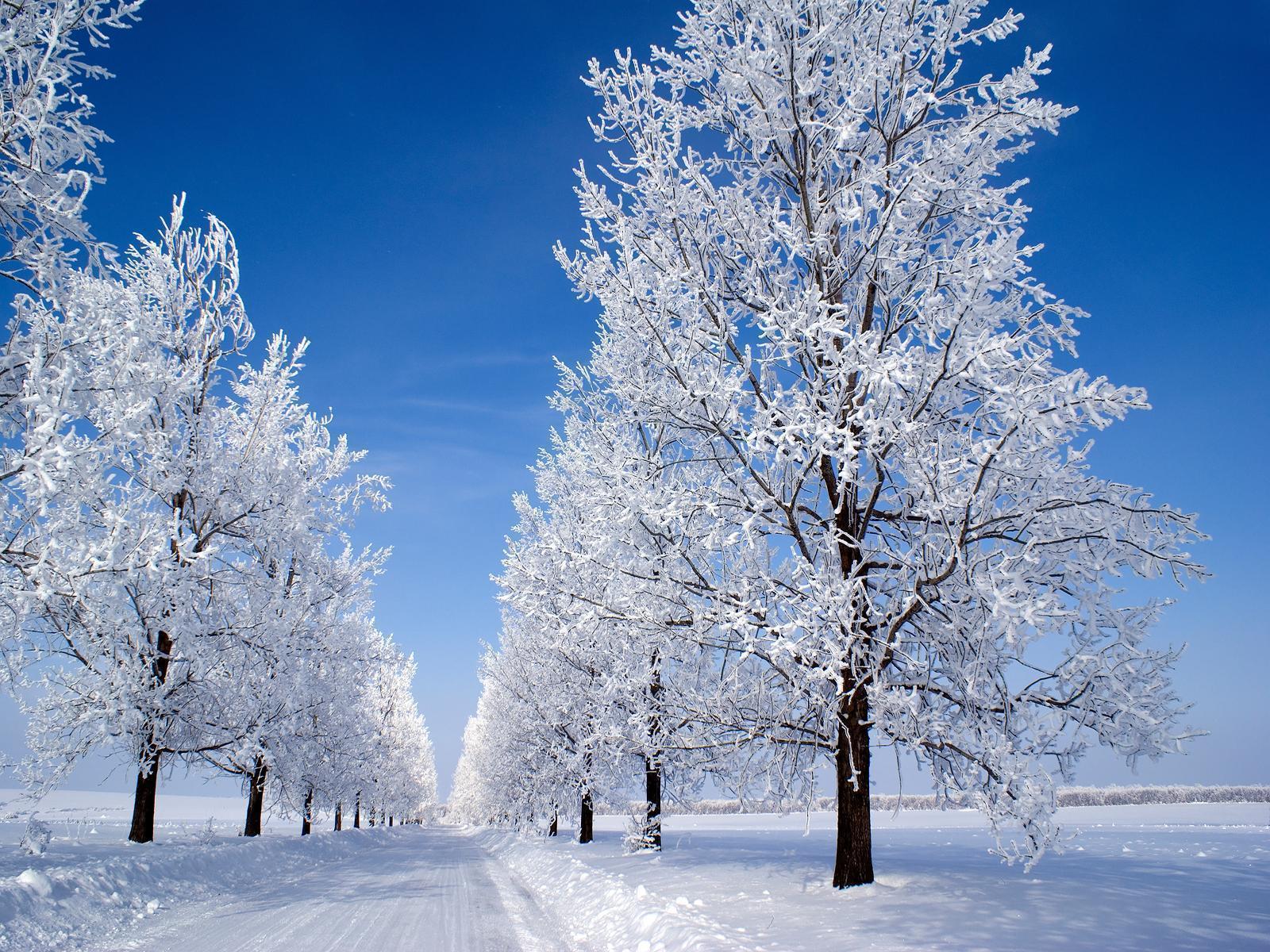 Snow Wallpaper