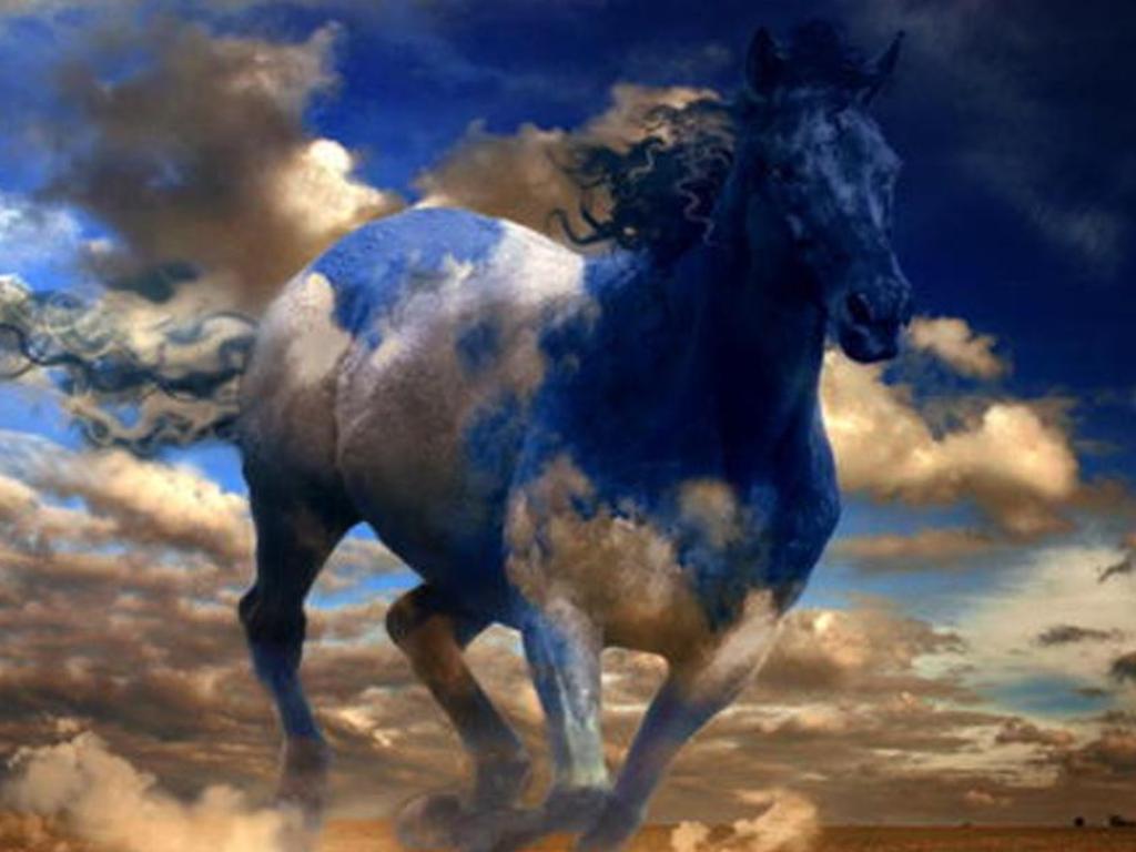 Sky Horse. Photo and Desktop Wallpaper