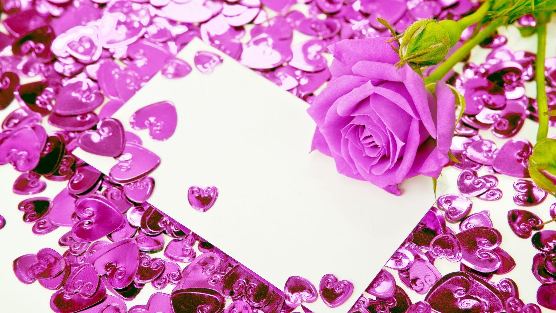 HD *** Violet Rose.*** Wallpaper