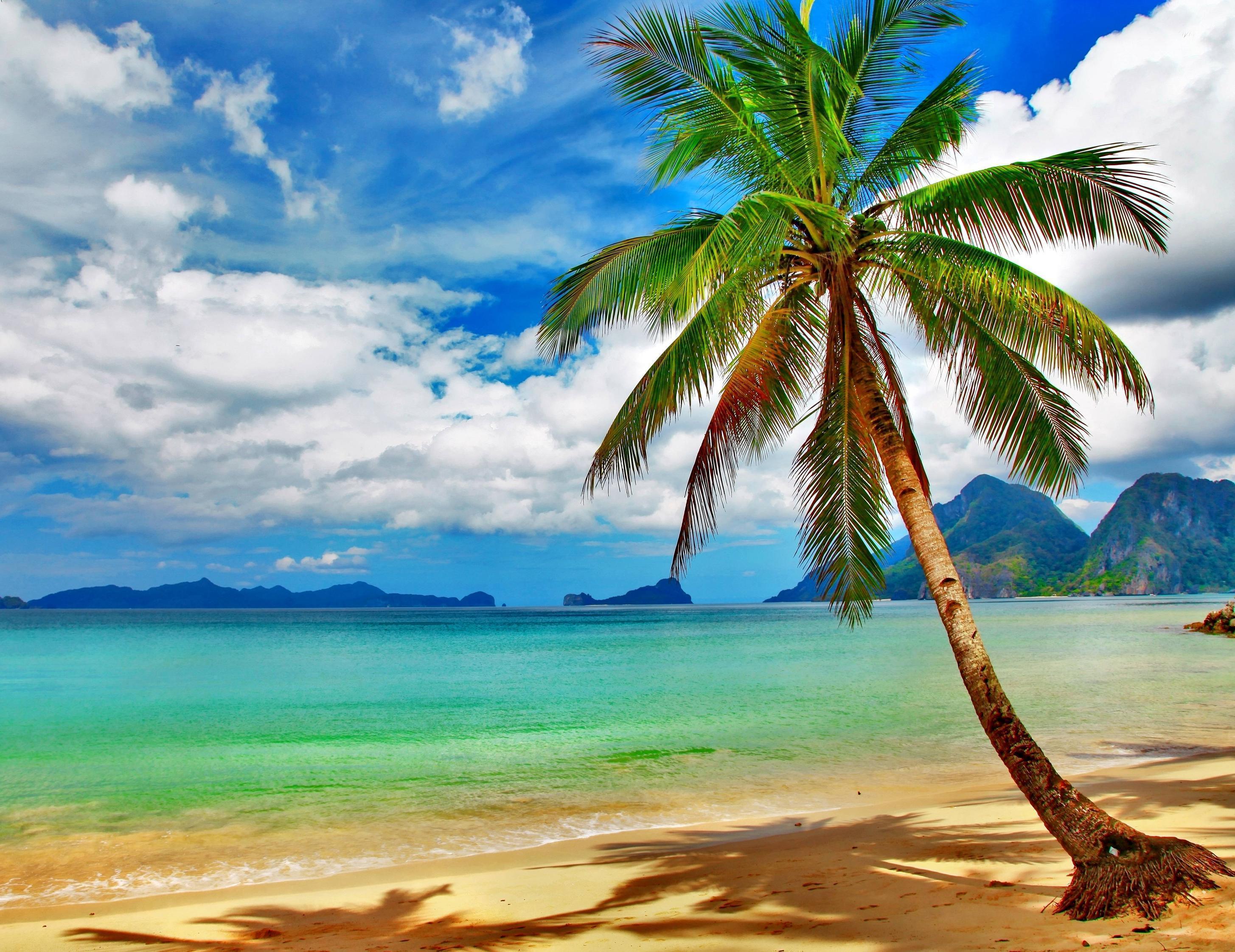 Tropical Beach Desktop Backgrounds Wallpaper Cave Tropical Beach Desktop Backgrounds Wallpaper Cave