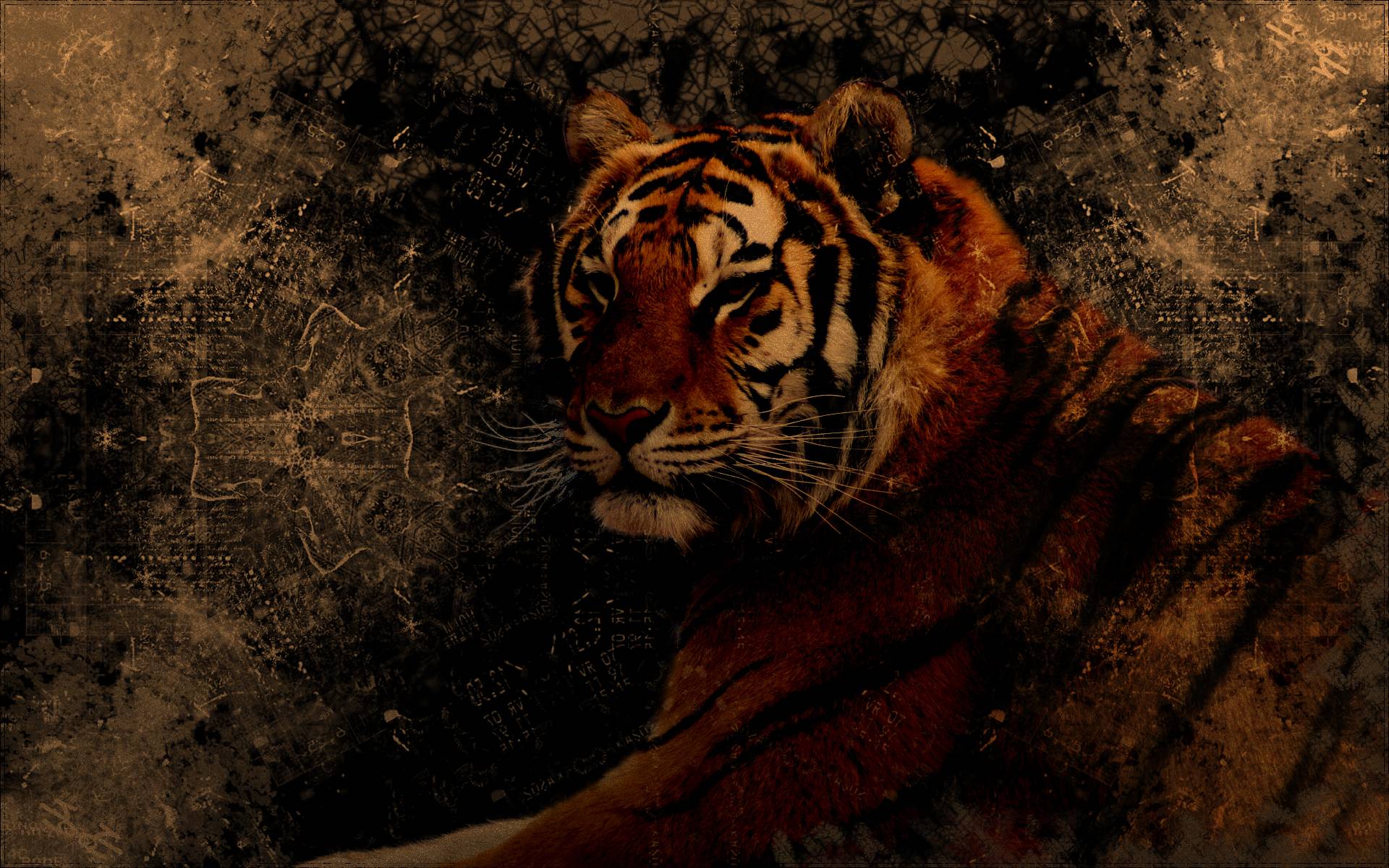 Grunge Tiger Computer Wallpaper, Desktop Background 1920x1200 Id