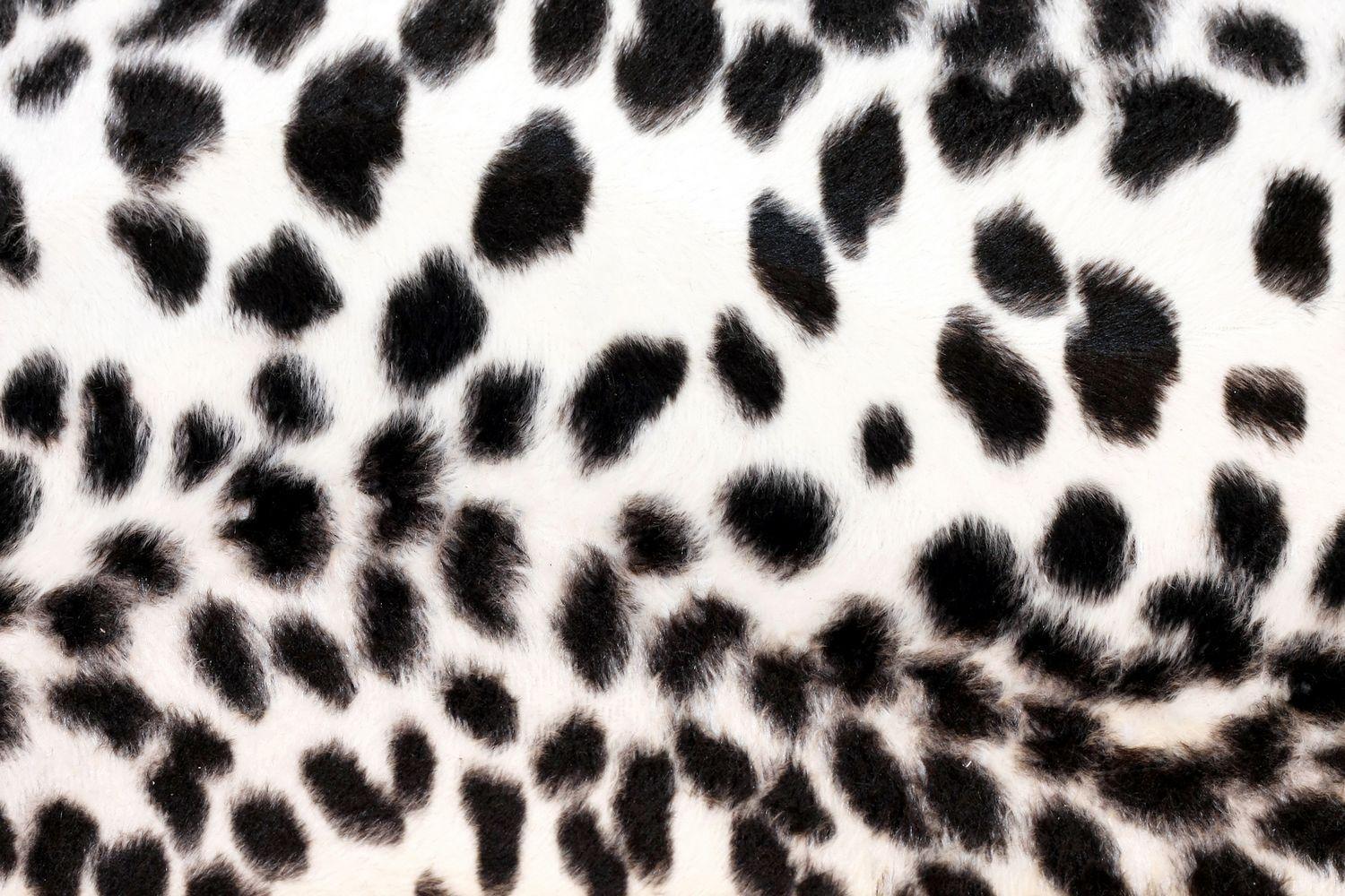 Cheetah Print HD Wallpaper and Background