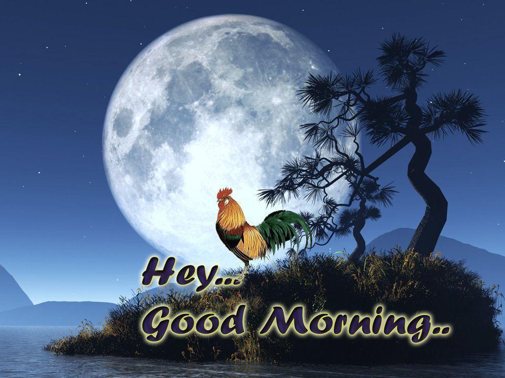 Good Morning Wallpaper For Facebook Good Morning new good morning