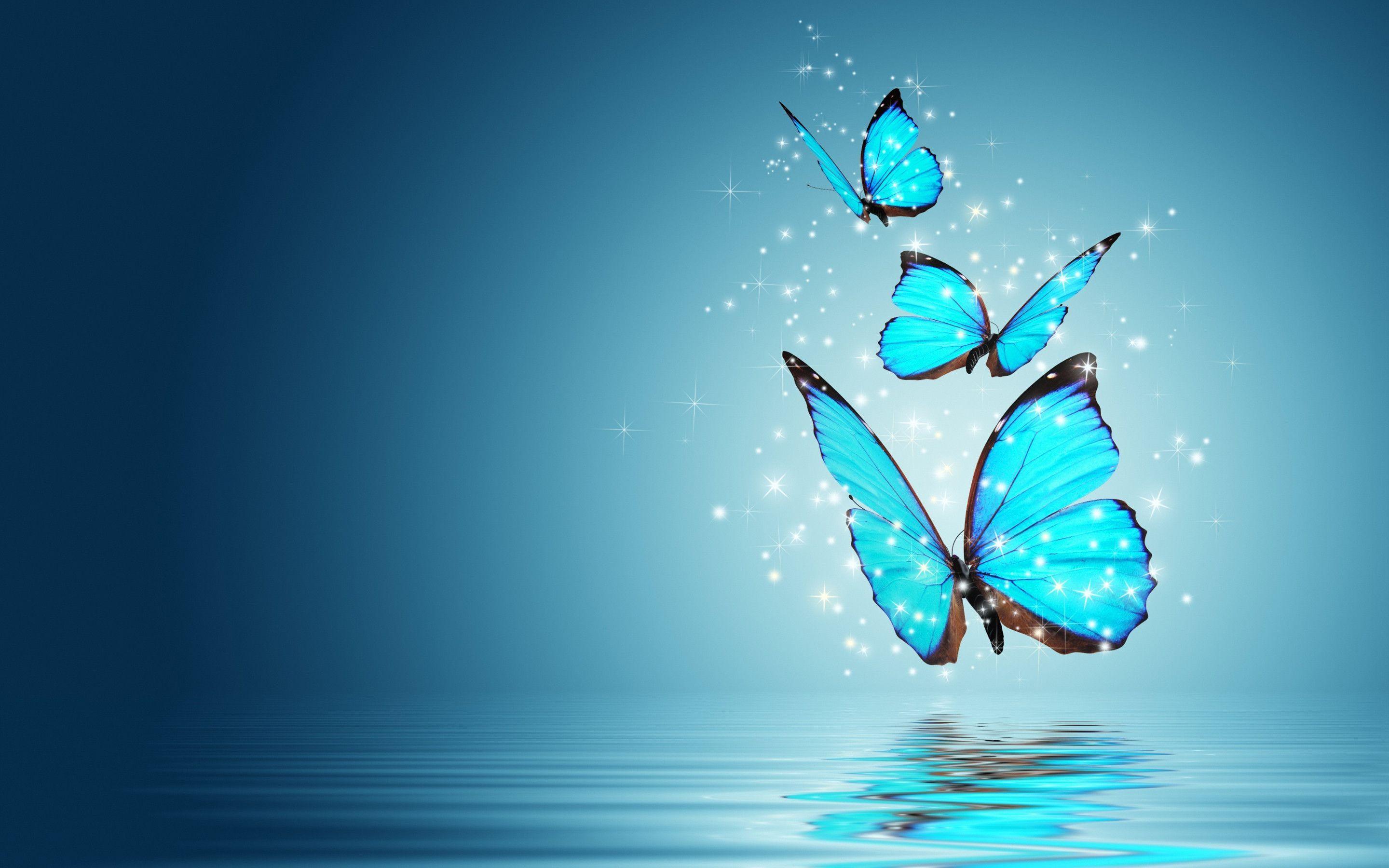 Blue Butterfly Water Reflection HD Wallpaper Definition
