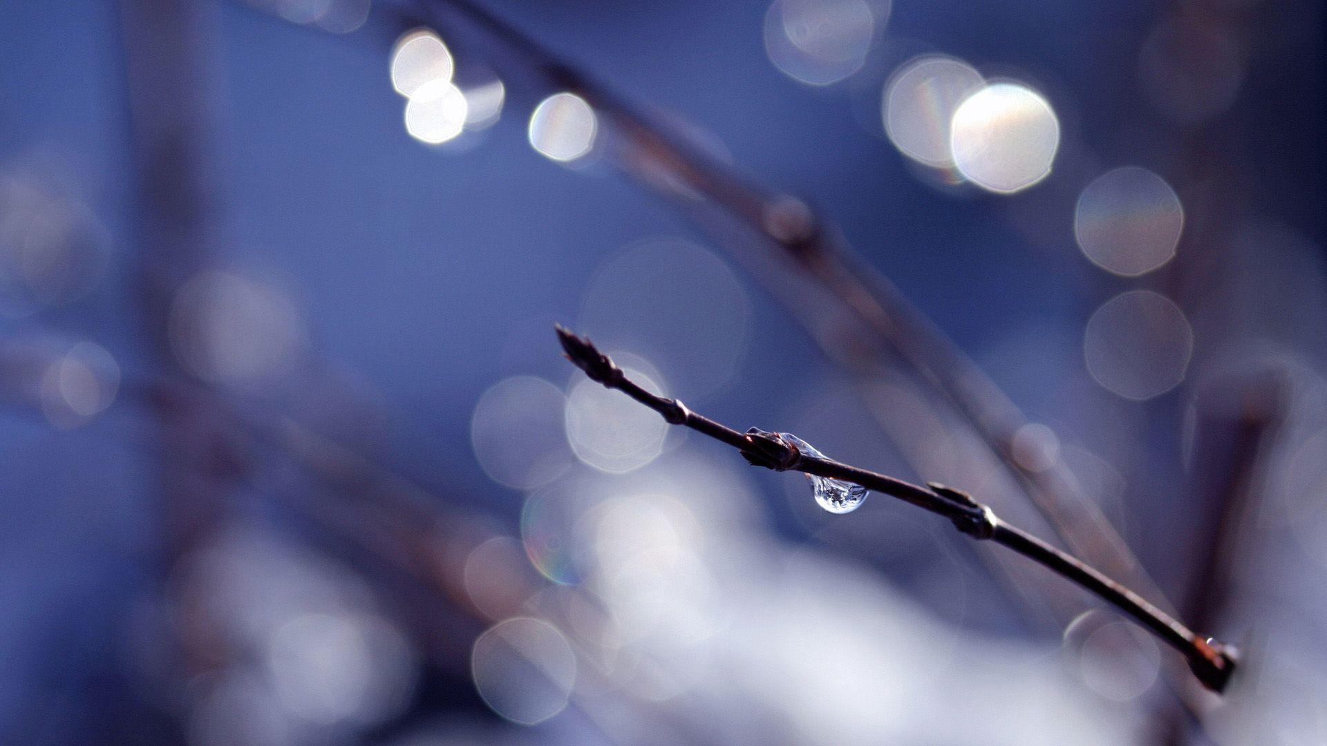 Nice Background 18601 1920x1080 px HDWallSource