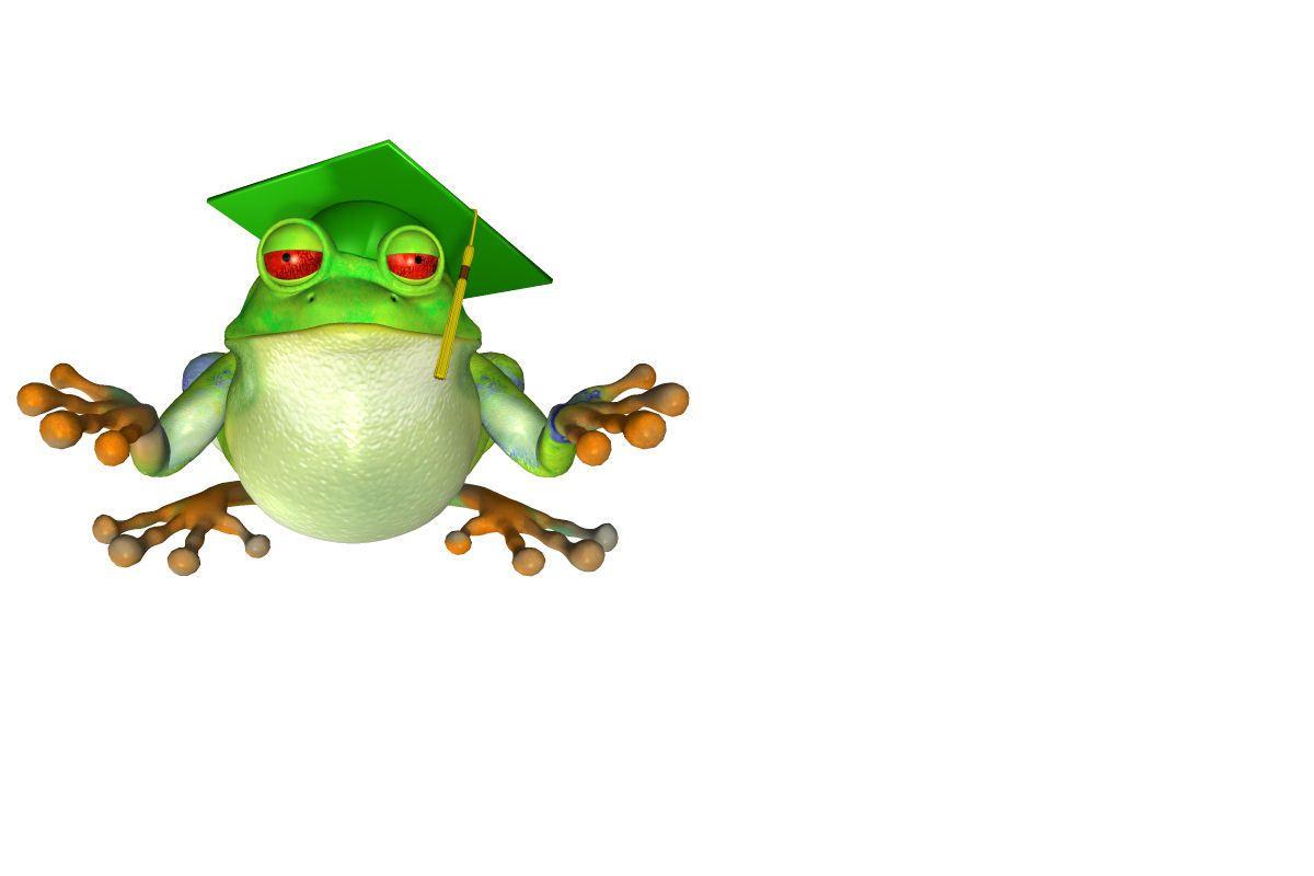 Green Frog Wallpaper and Picture Items