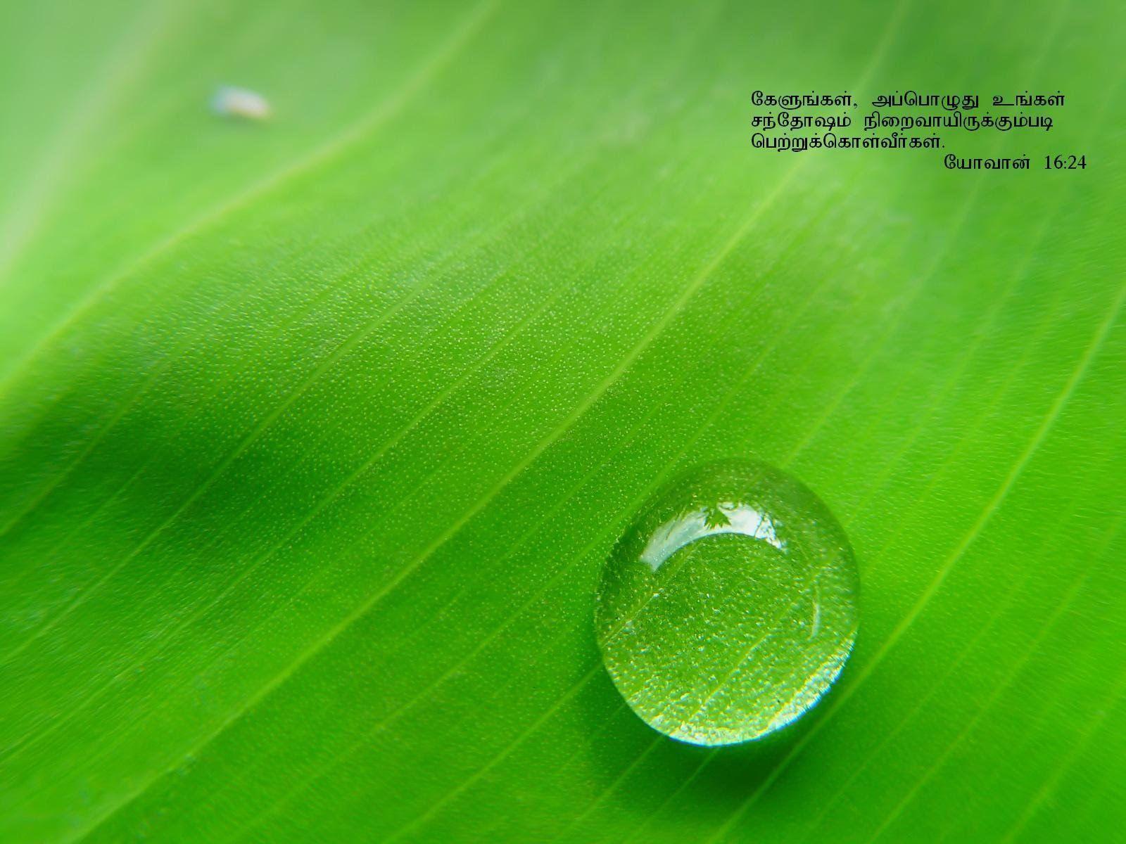 Tech Share: Daily Bible Verses