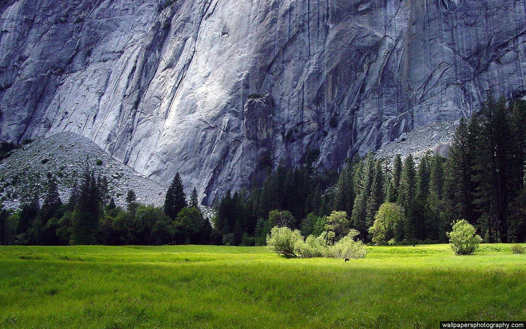 Full HD Wallpaper Widescreen HD Desk HD Wallpaper