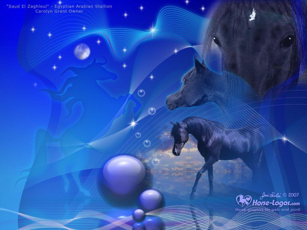 Free horse desktop wallpapers