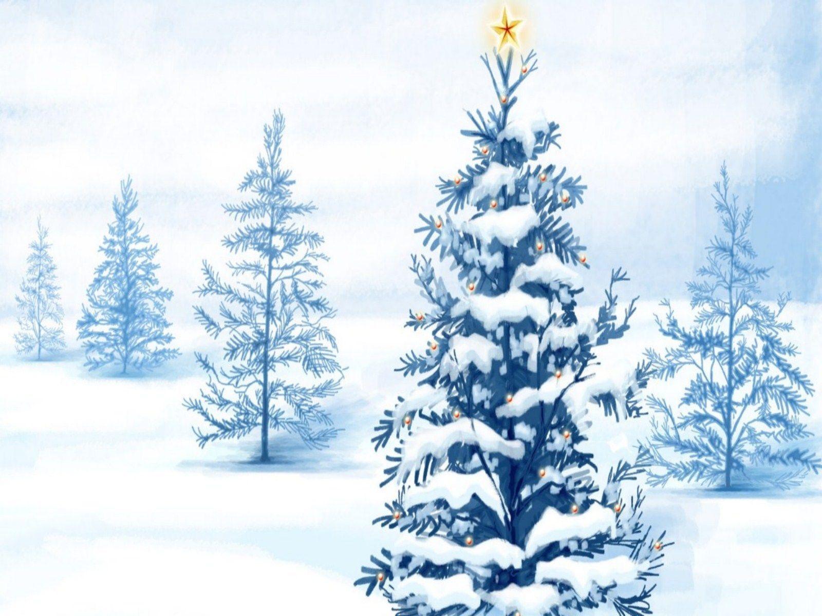 christmas tree background Image