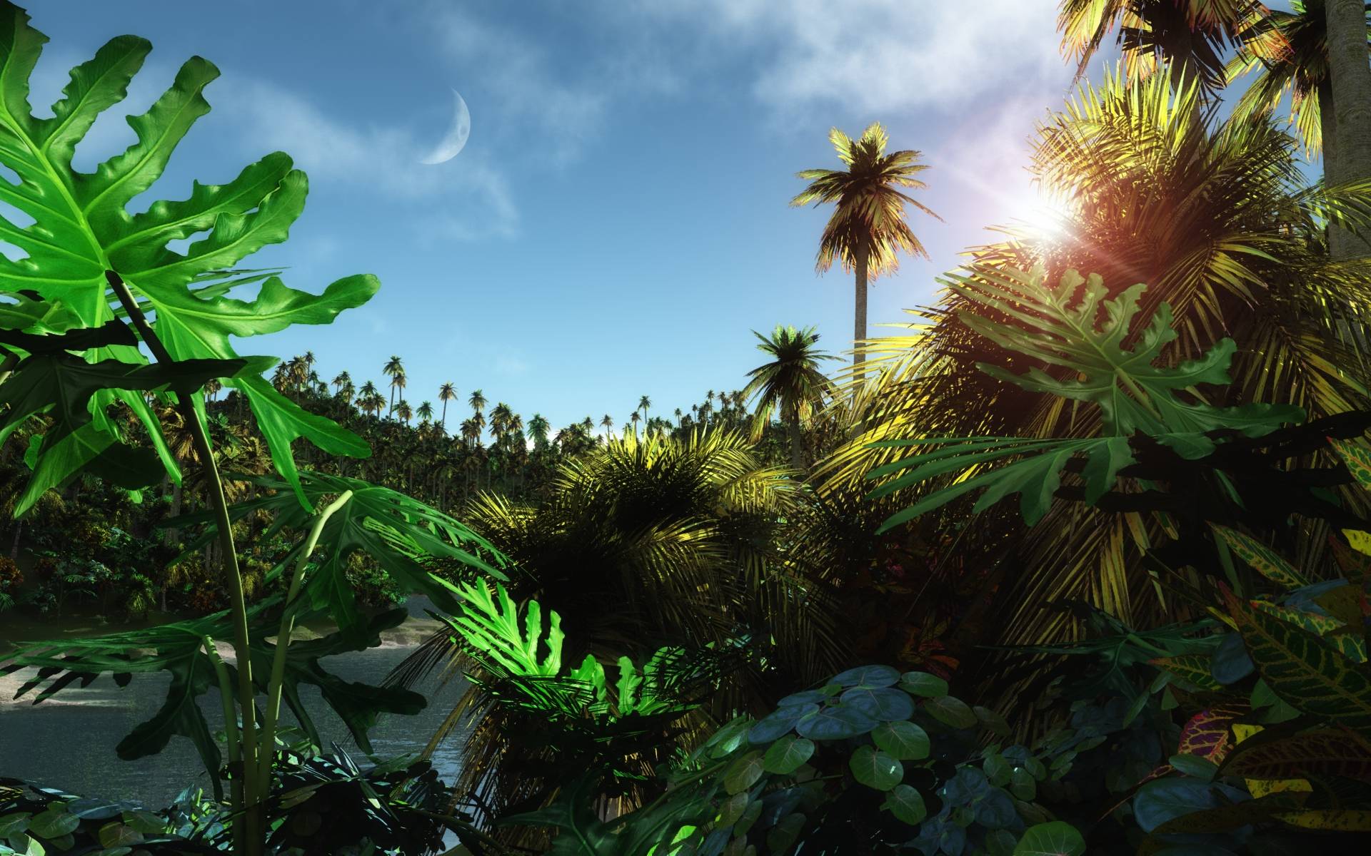Wallpaper For > Animated Jungle Background HD