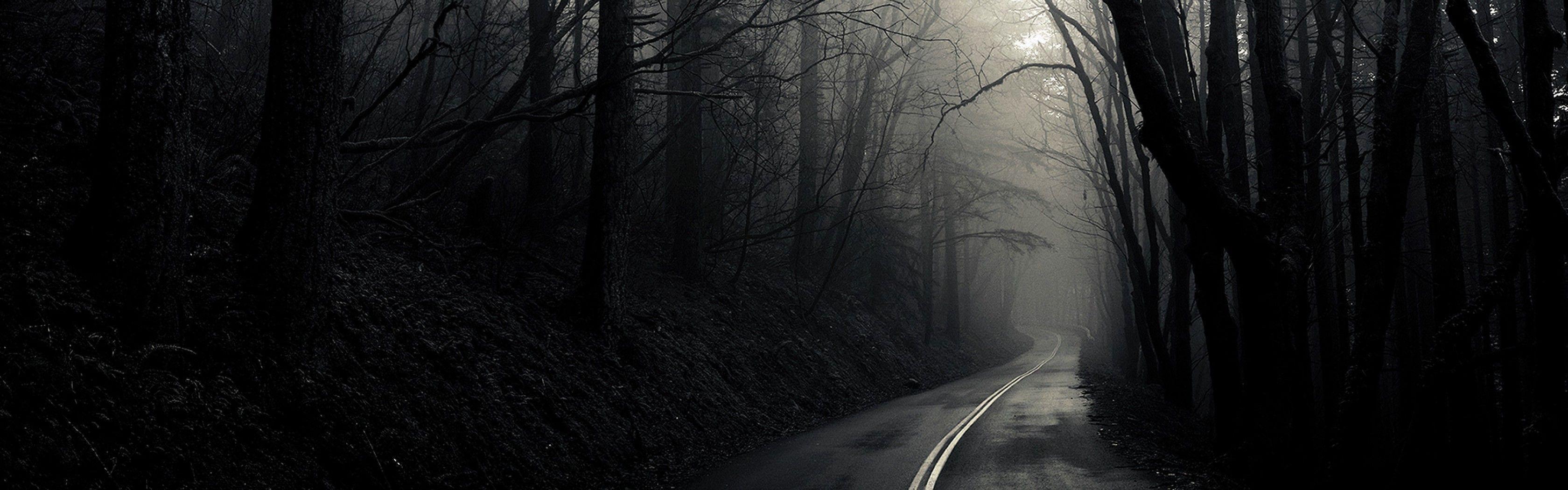 Into The Mist Free Darkness Dark Forest Road Wallpaper