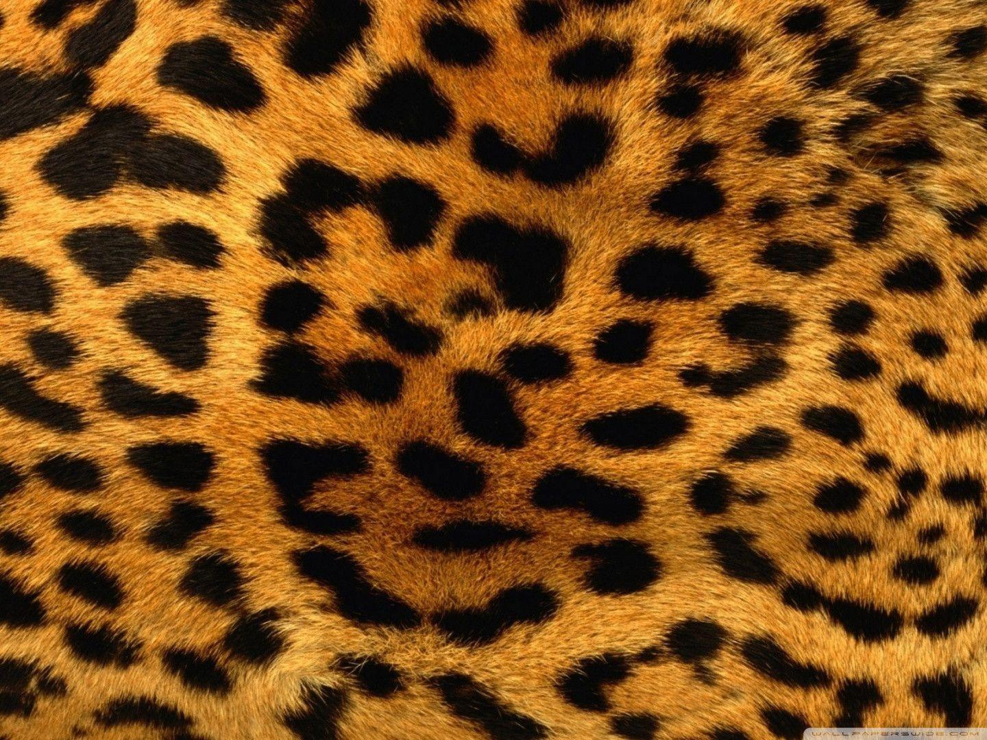 Cheetah Glitter Background