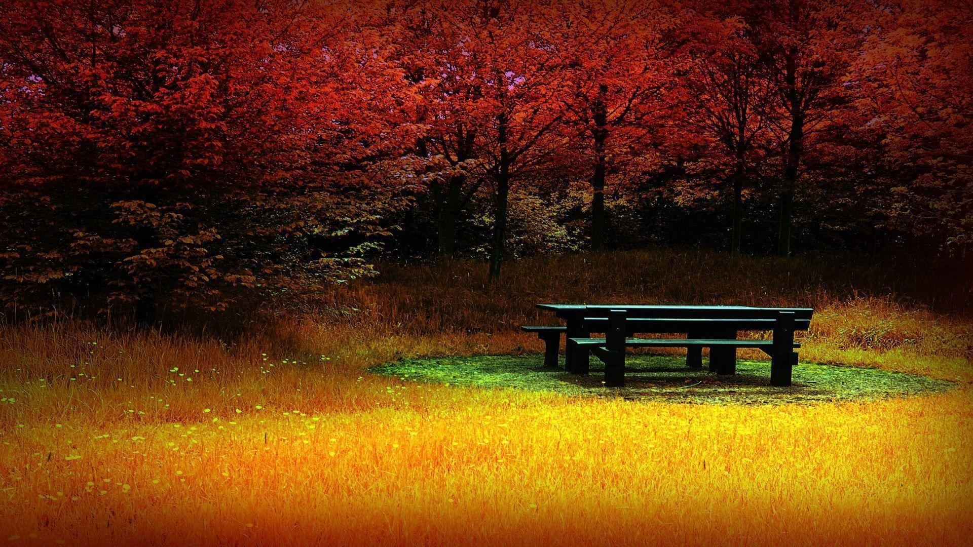 image For > Autumn Wallpaper 1920x1080