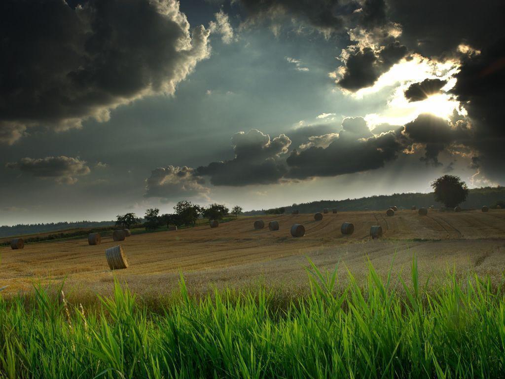 Desktop Nature wallpaper