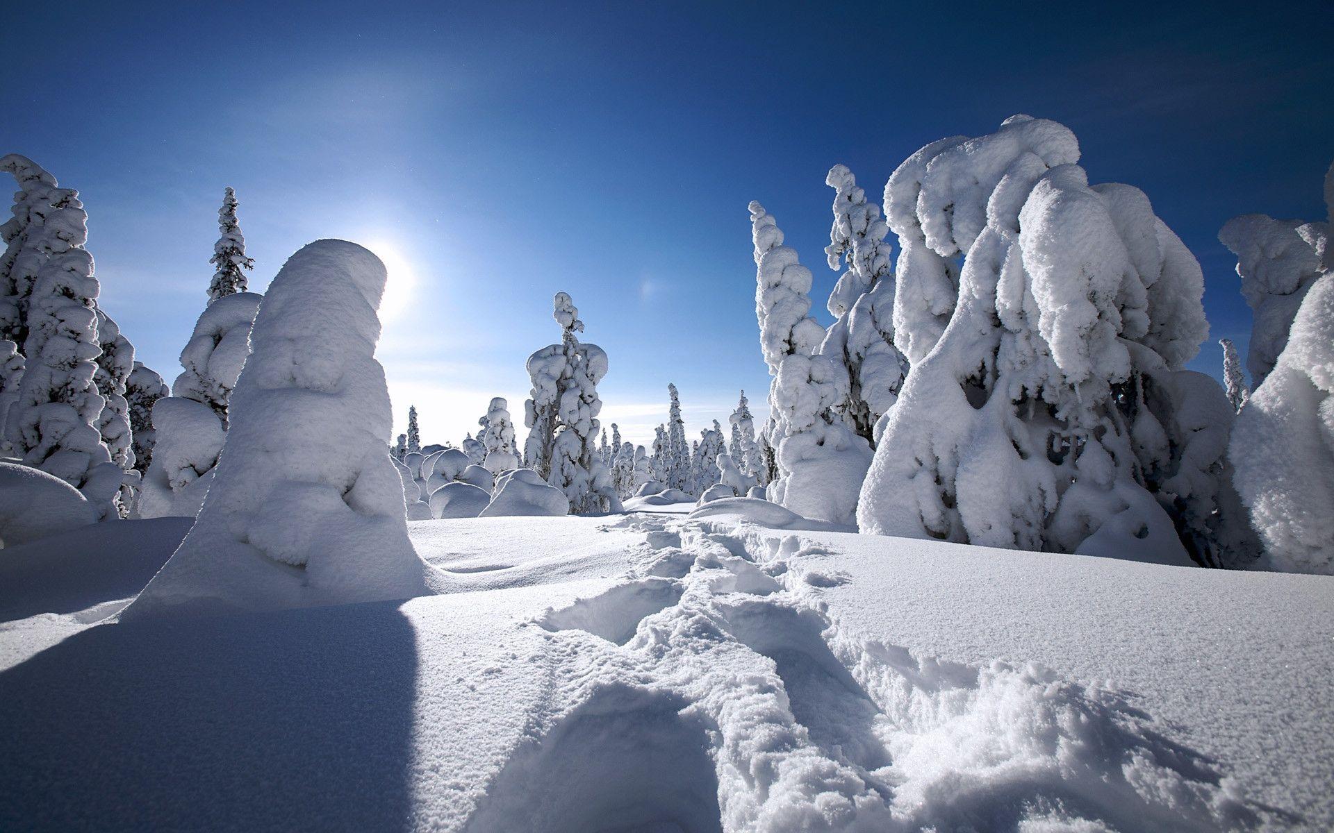 Winter in Finland Wallpaper