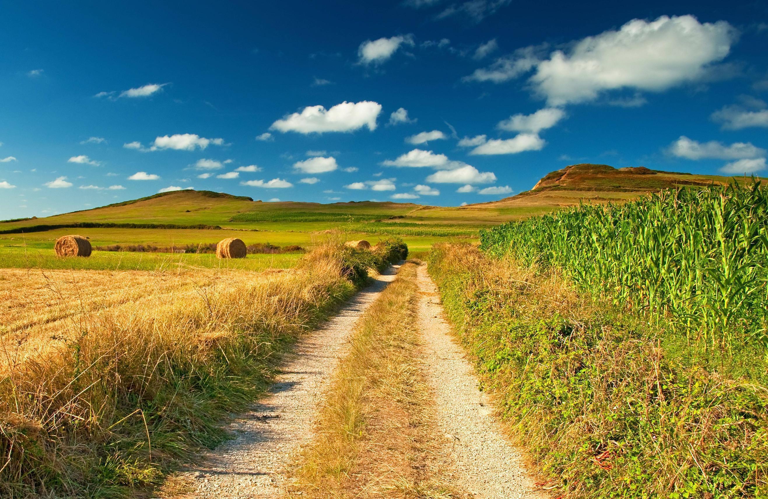 Download wallpaper country road, nature, field, rick free desktop