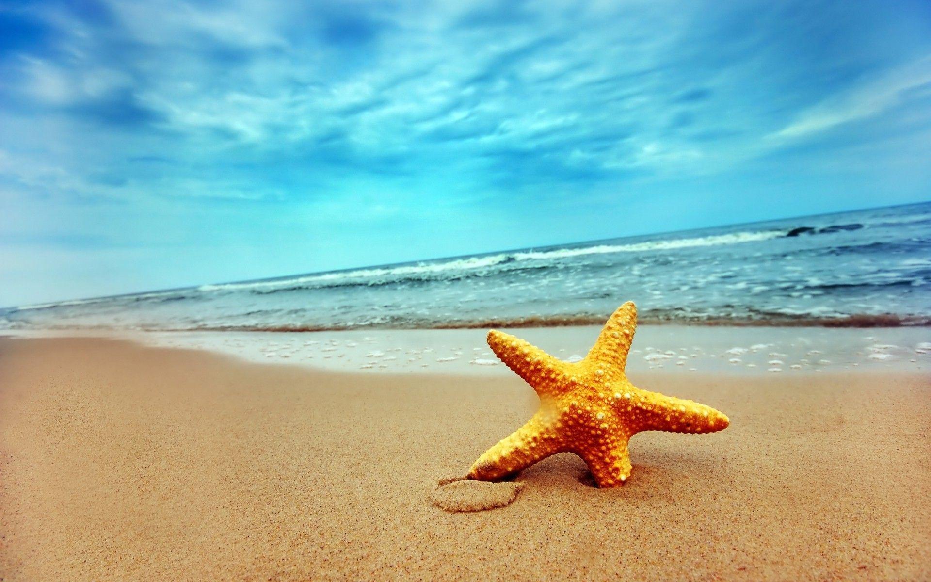 Starfish Picture. Sky HD Wallpaper