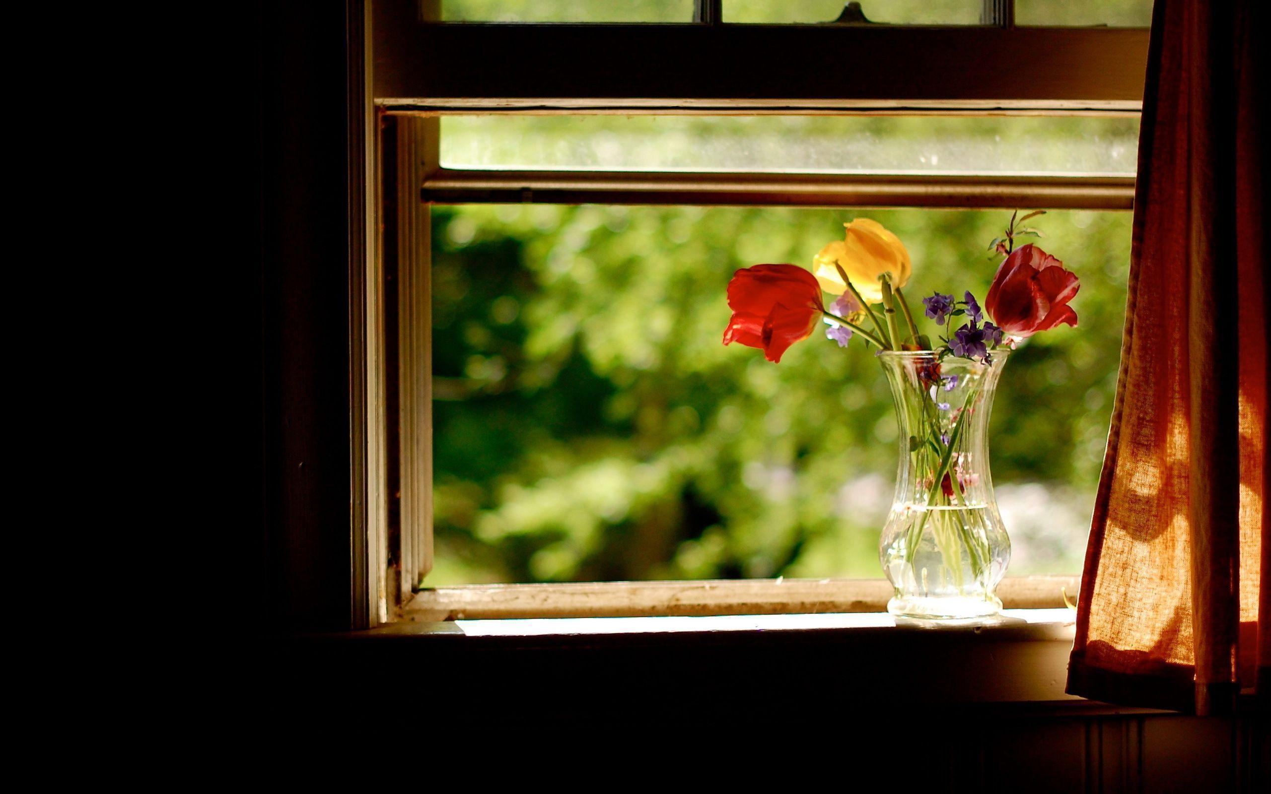 Flowers Window Seat Wallpaper