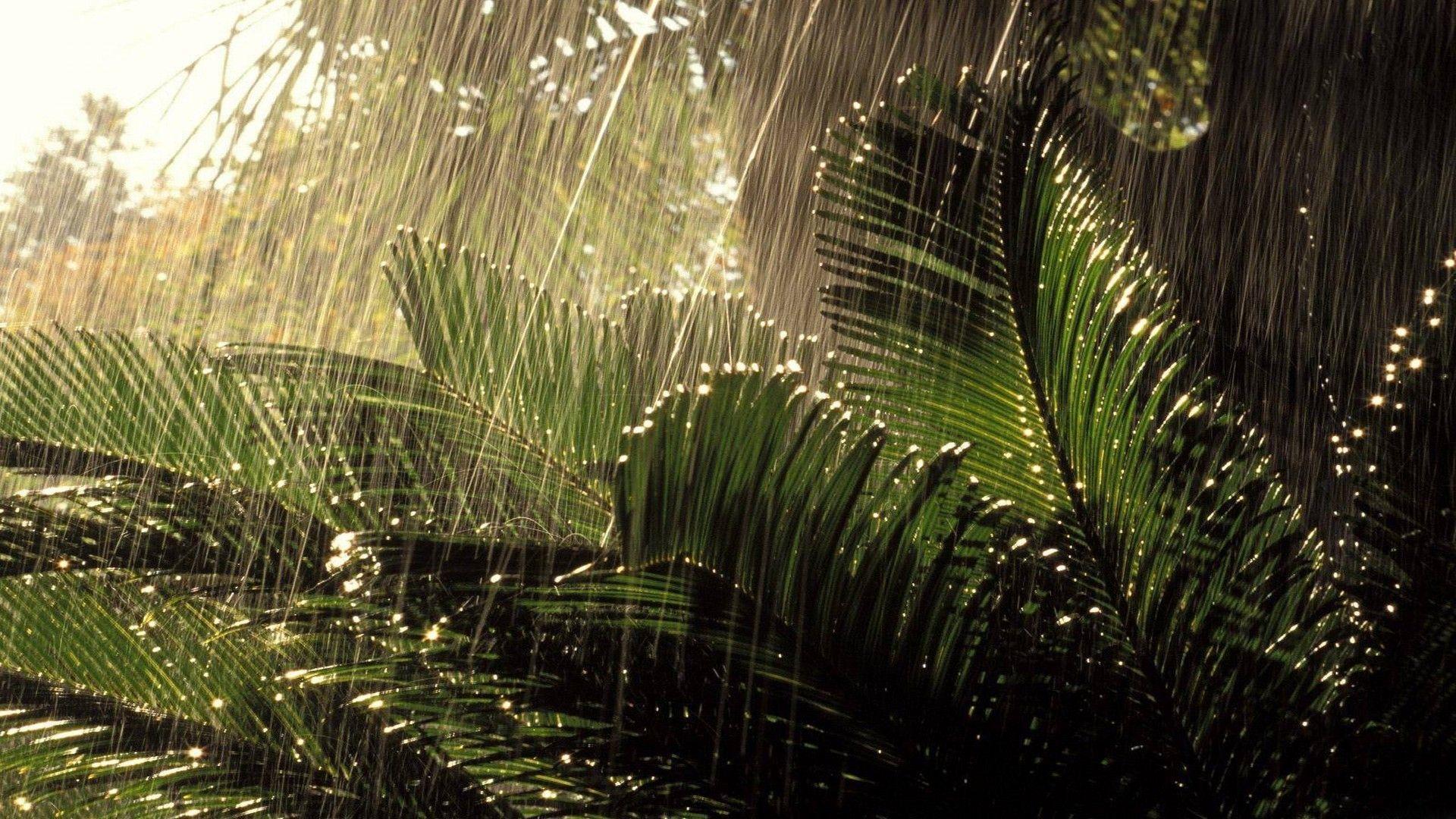 image For > Nature Raining Wallpaper HD