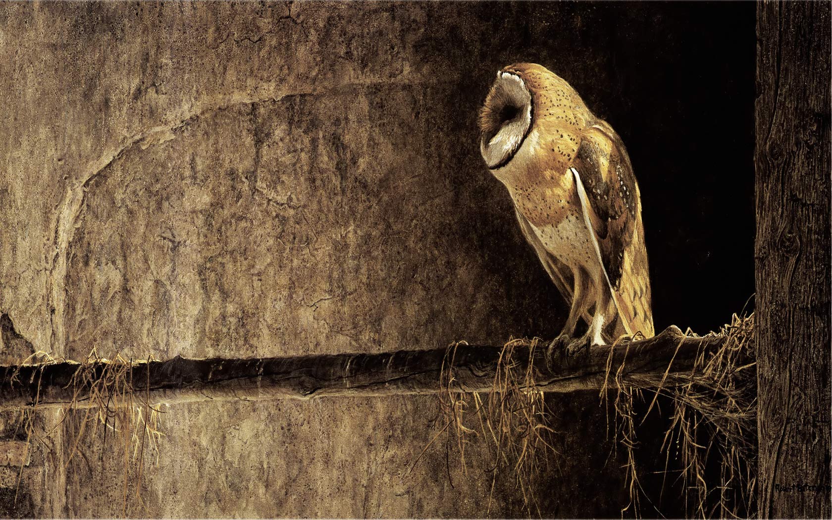 Wallpaper For > Fall Owl Desktop Background