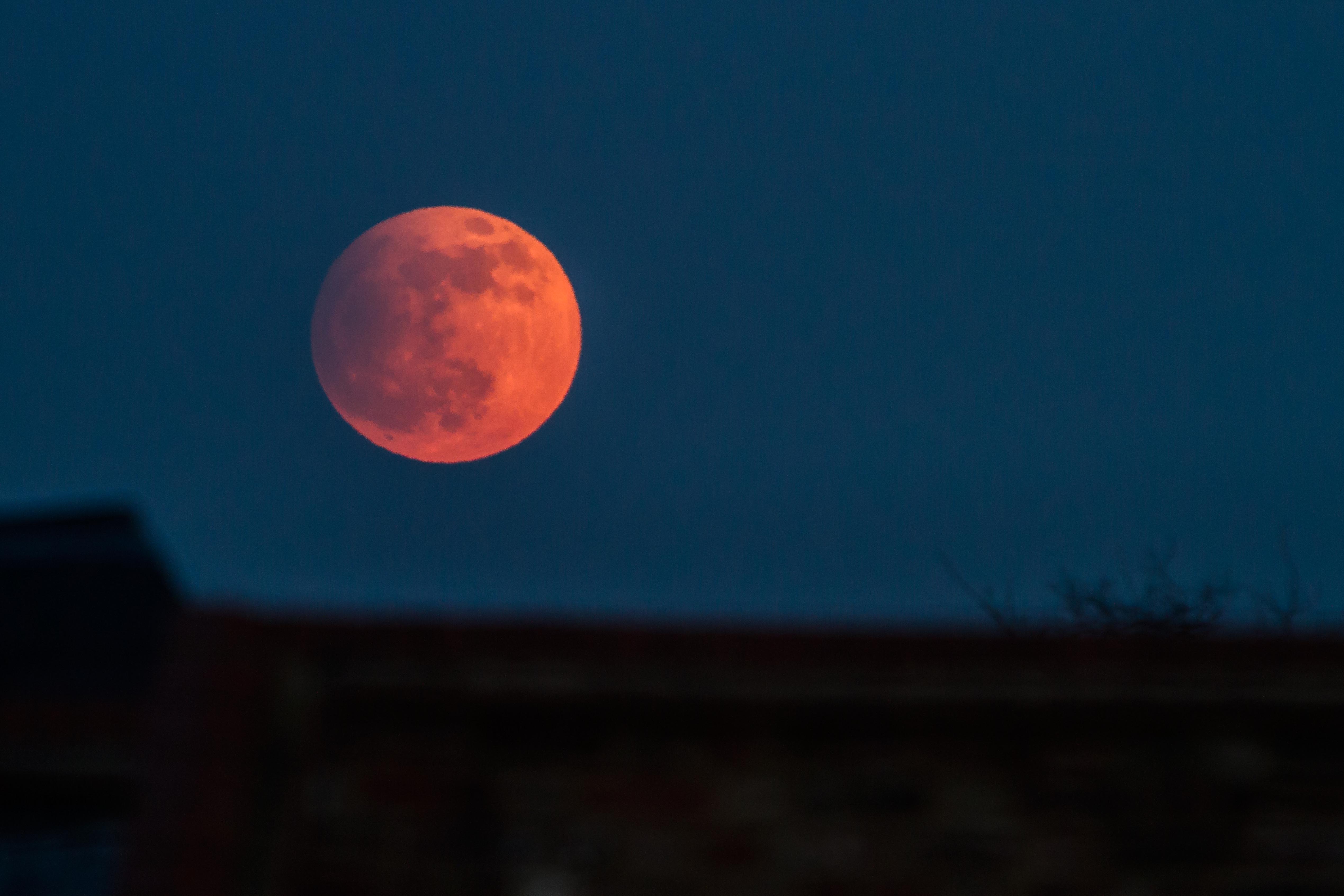 27 Lunar Eclipse Pictures  Download Free Images on Unsplash