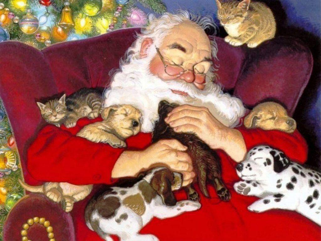 Sleepy Christmas Dog Wallpaper