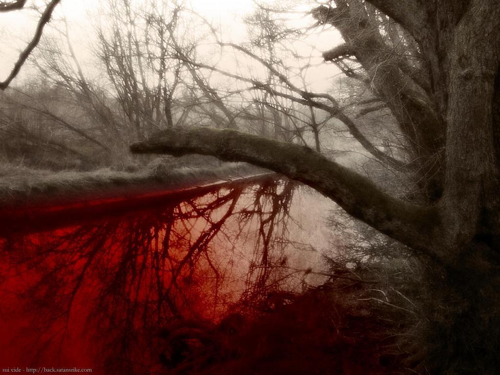 Bloody River Wallpaper and Picture Items