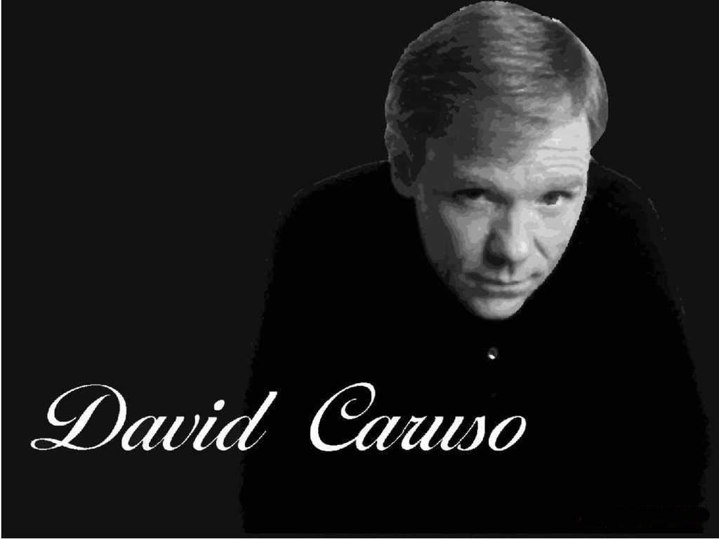 David Caruso Wallpapers Wallpaper Cave