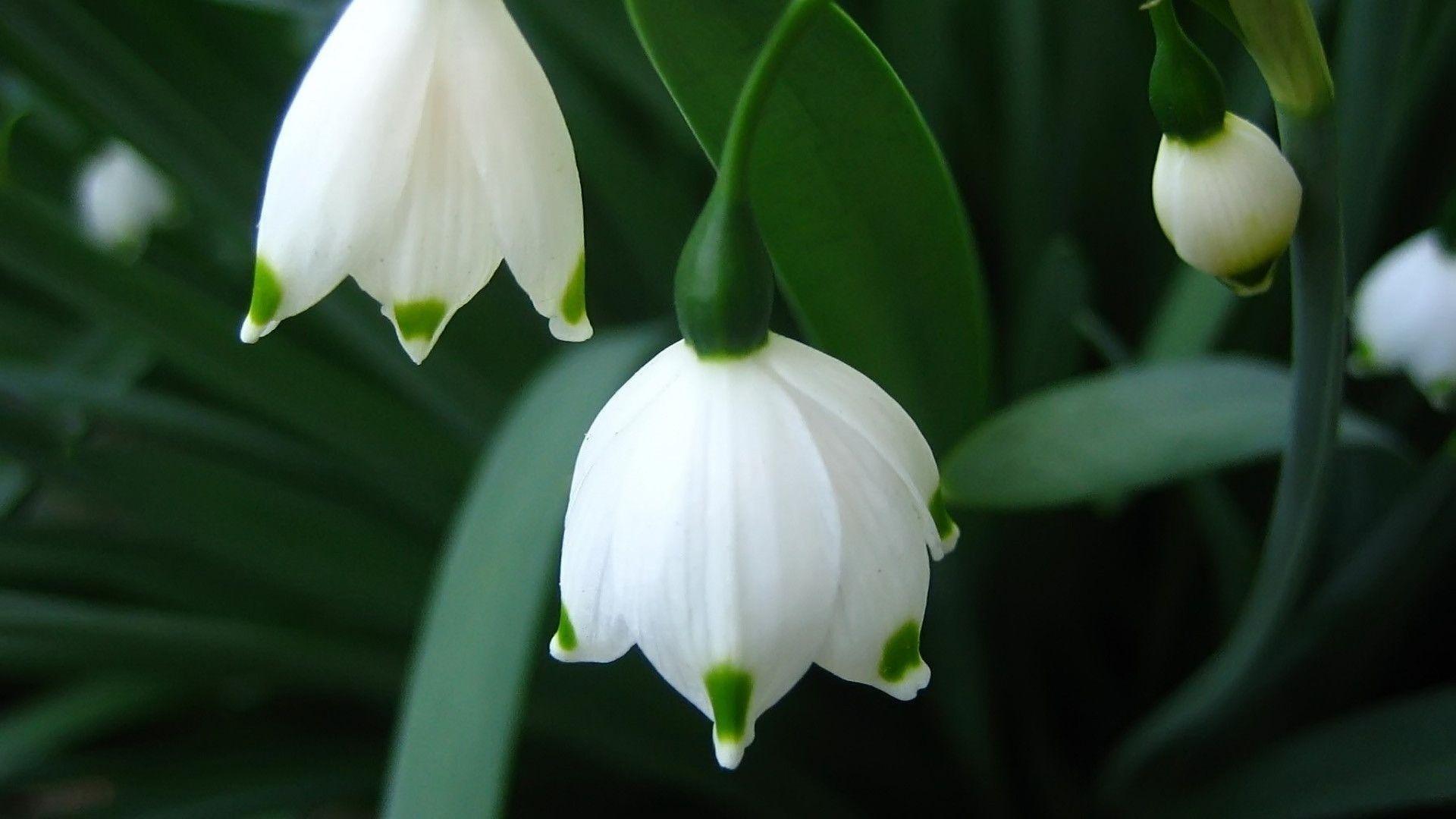 Stunning HD Wallpaper For Your Desktop. I Have A PC